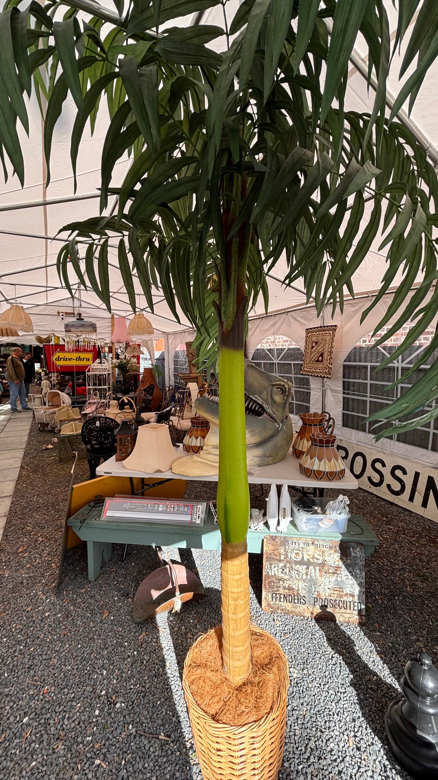 Statement Artificial Palm Tree - up to 3m tall