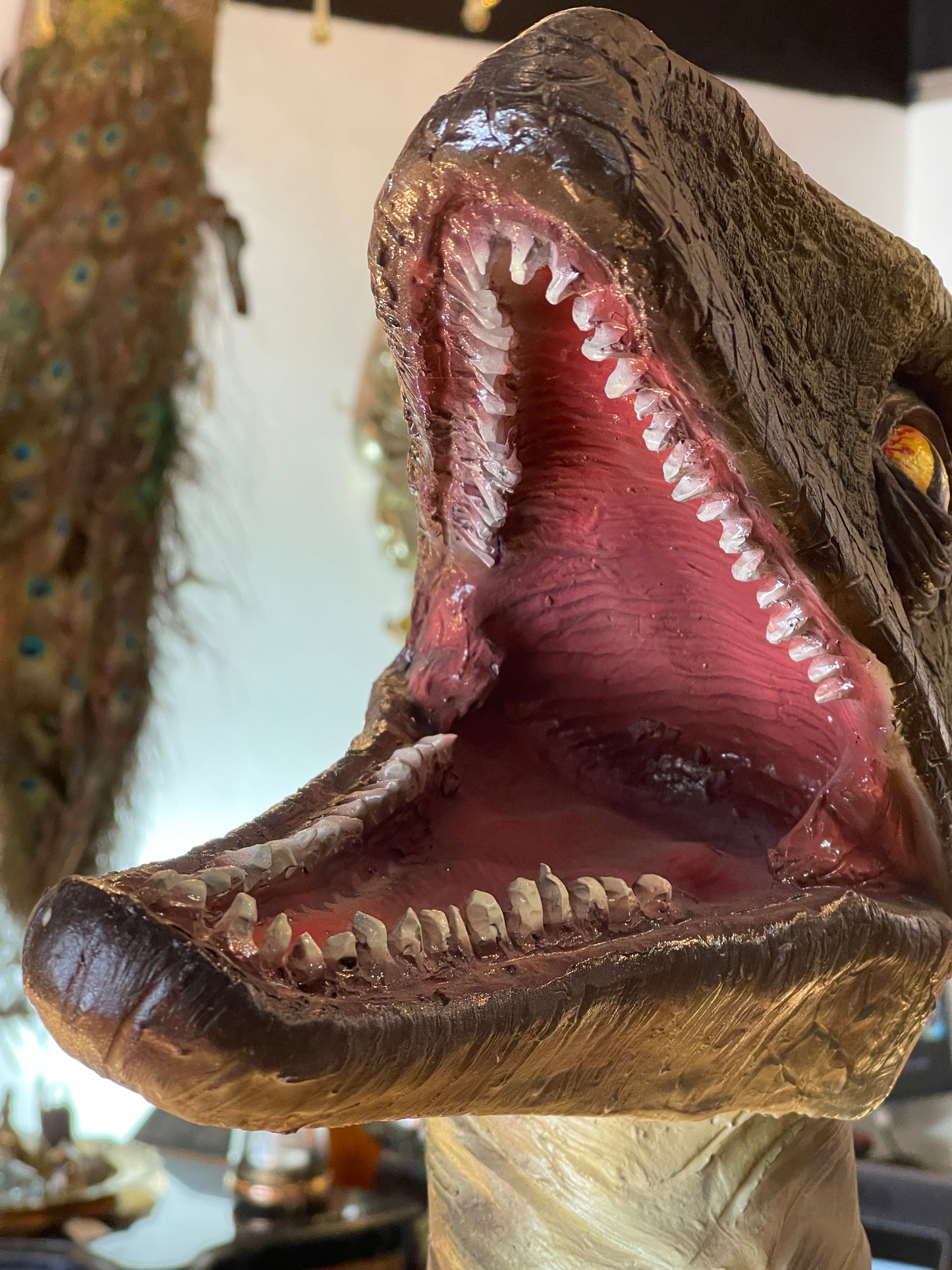 ‘Chompy The Baby’ - Life-size Fibreglass Raptor Dinosaur Statue