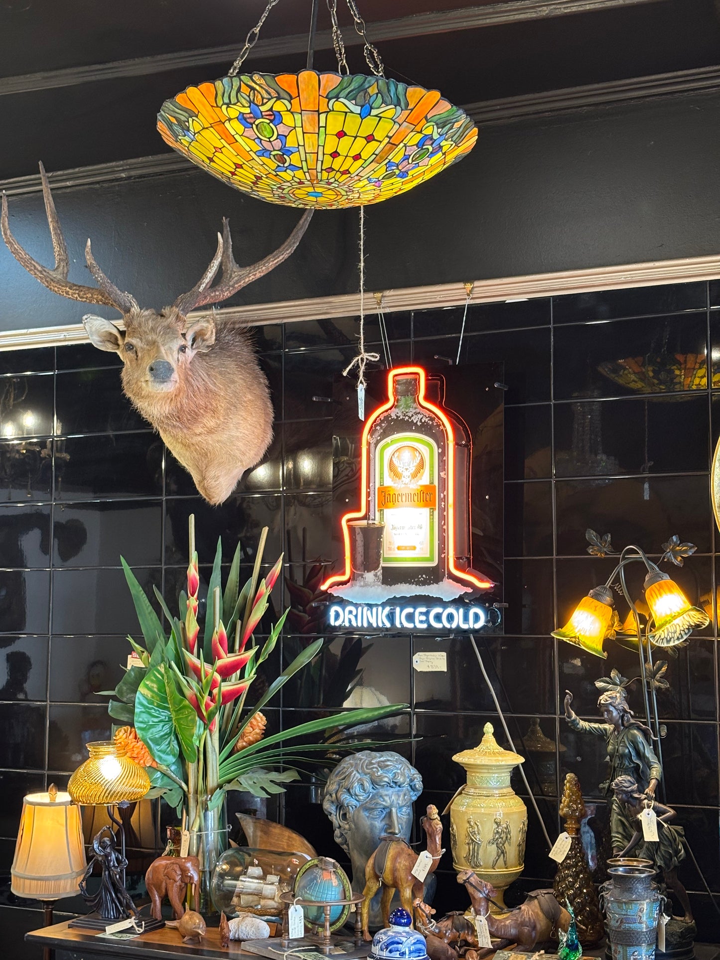 Sambar Deer Shoulder Mount – Soulful, Striking & Rare