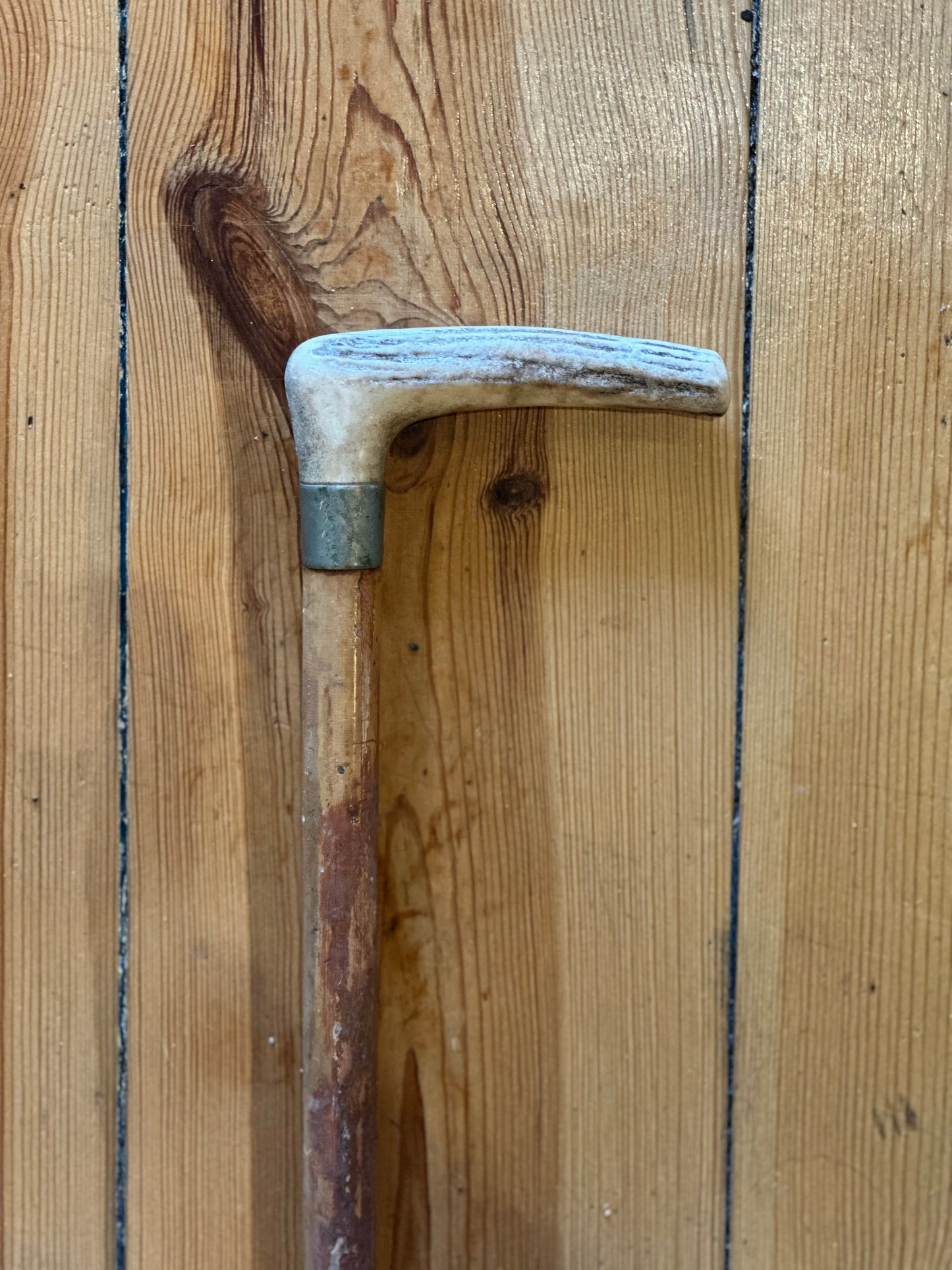 Antique L-Shape Stag Antler Walking Stick – Vintage Hardwood Cane with Silver Collar