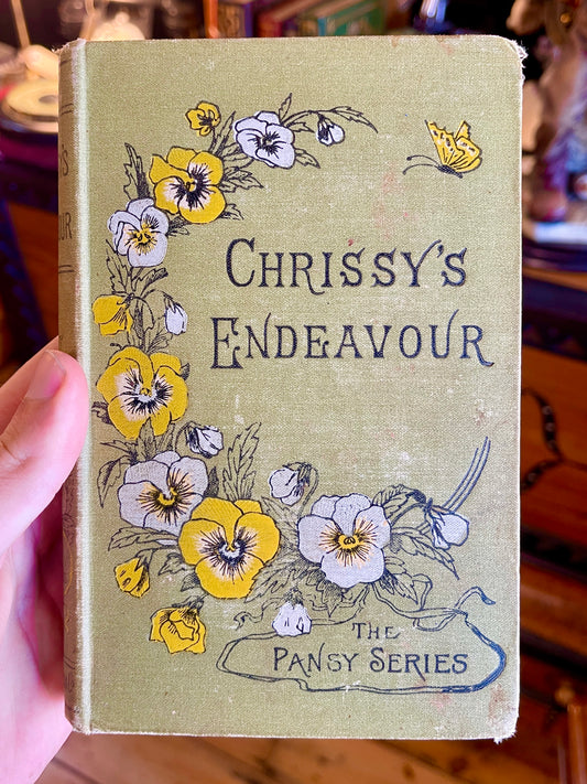 1894 Chrissy’s Endeavour Book - The Pansy Series, Illustrated Victorian Edition