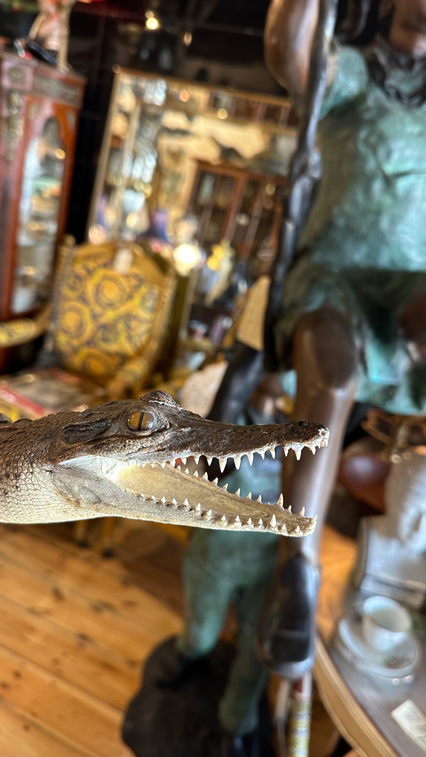 Vintage full-body juvenile crocodile taxidermy specimen with an open mouth and scaly dermal scutes