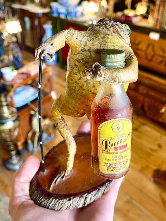 Taxidermy Cane Toad Holding Bundaberg Rum Bottle & Cane - Unique Mounted Display