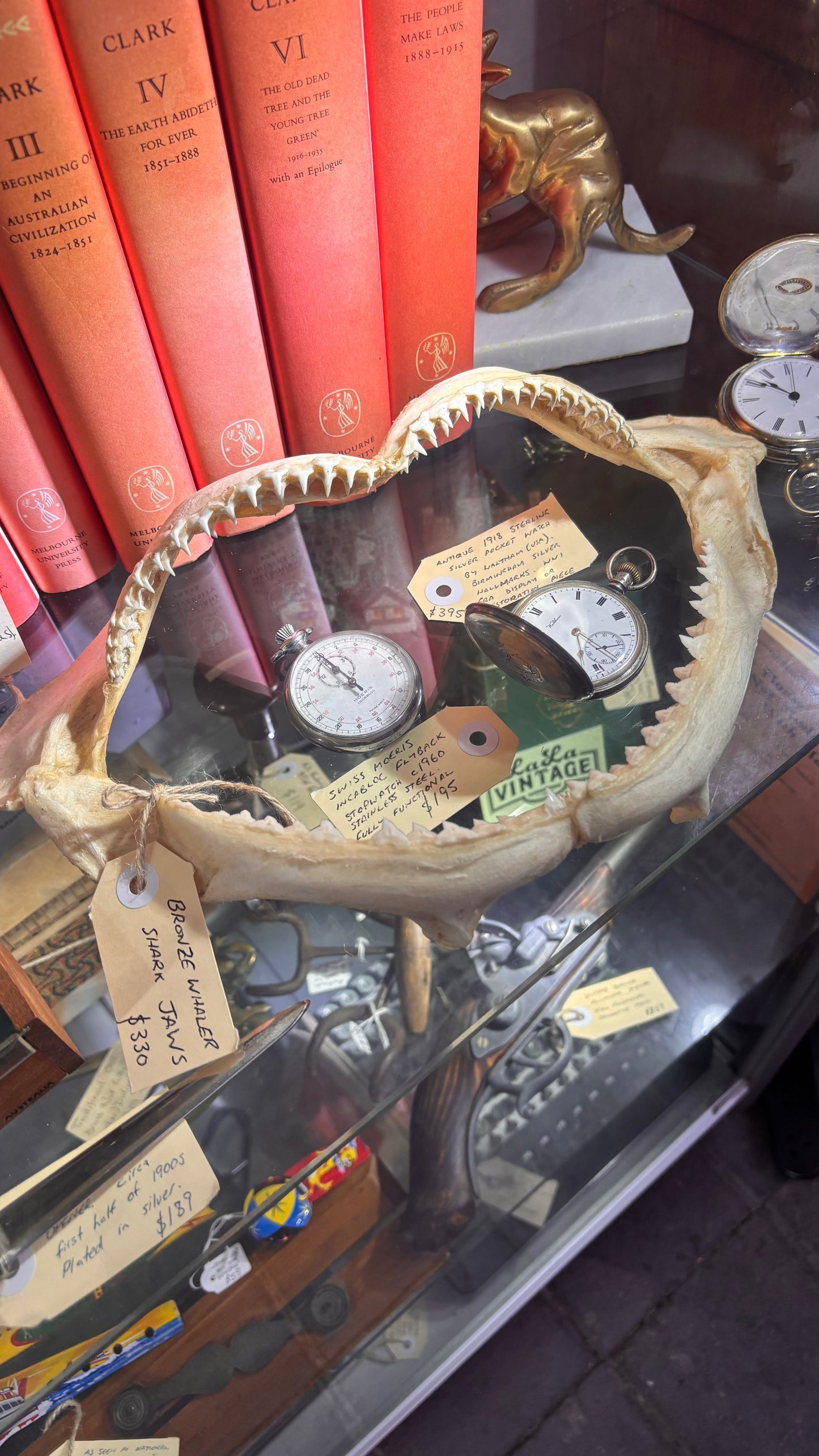 Vintage Bronze Whaler Shark Jaws – c. 1980s – Approx 30cm Wide