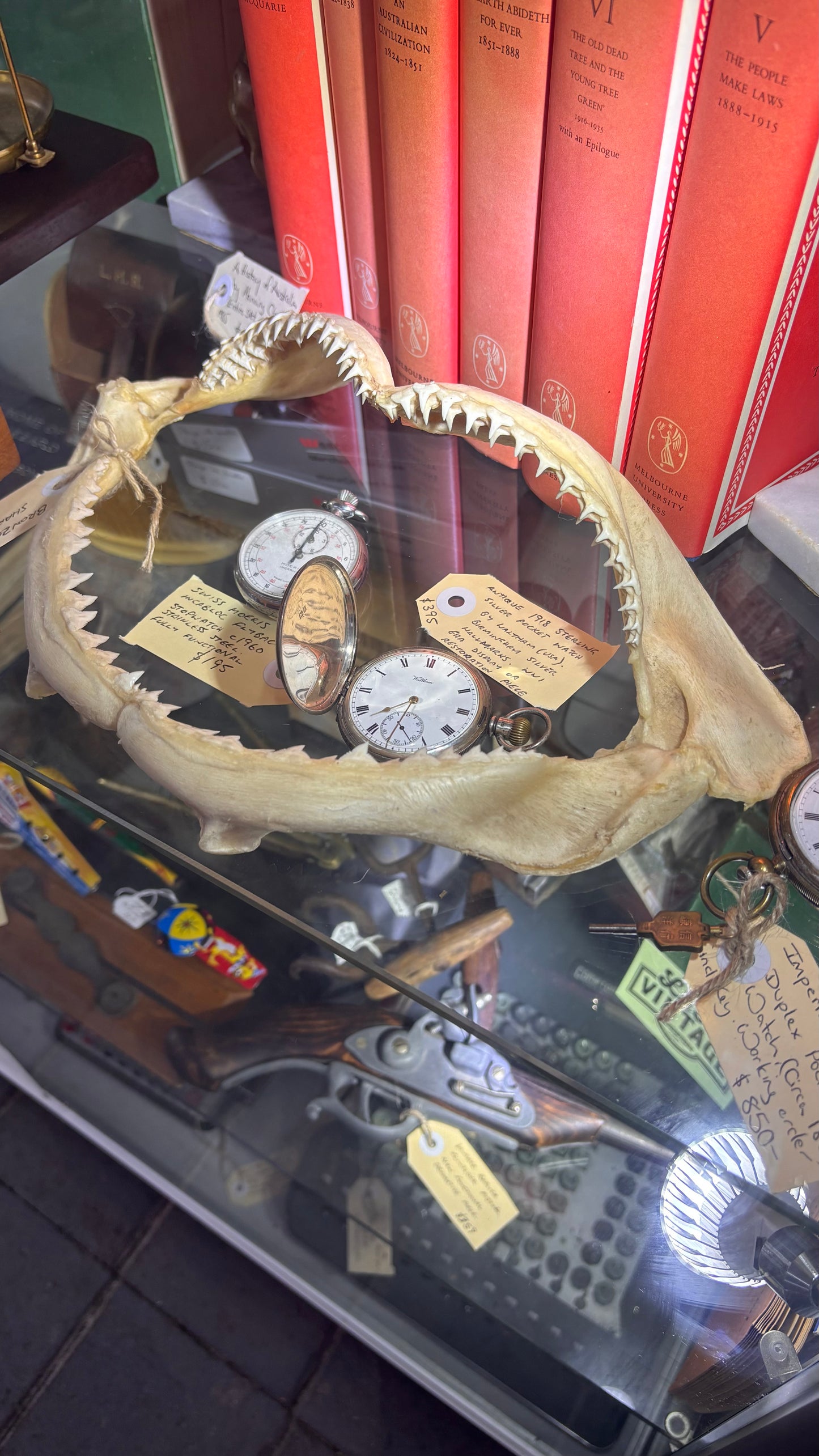 Vintage Bronze Whaler Shark Jaws – c. 1980s – Approx 30cm Wide