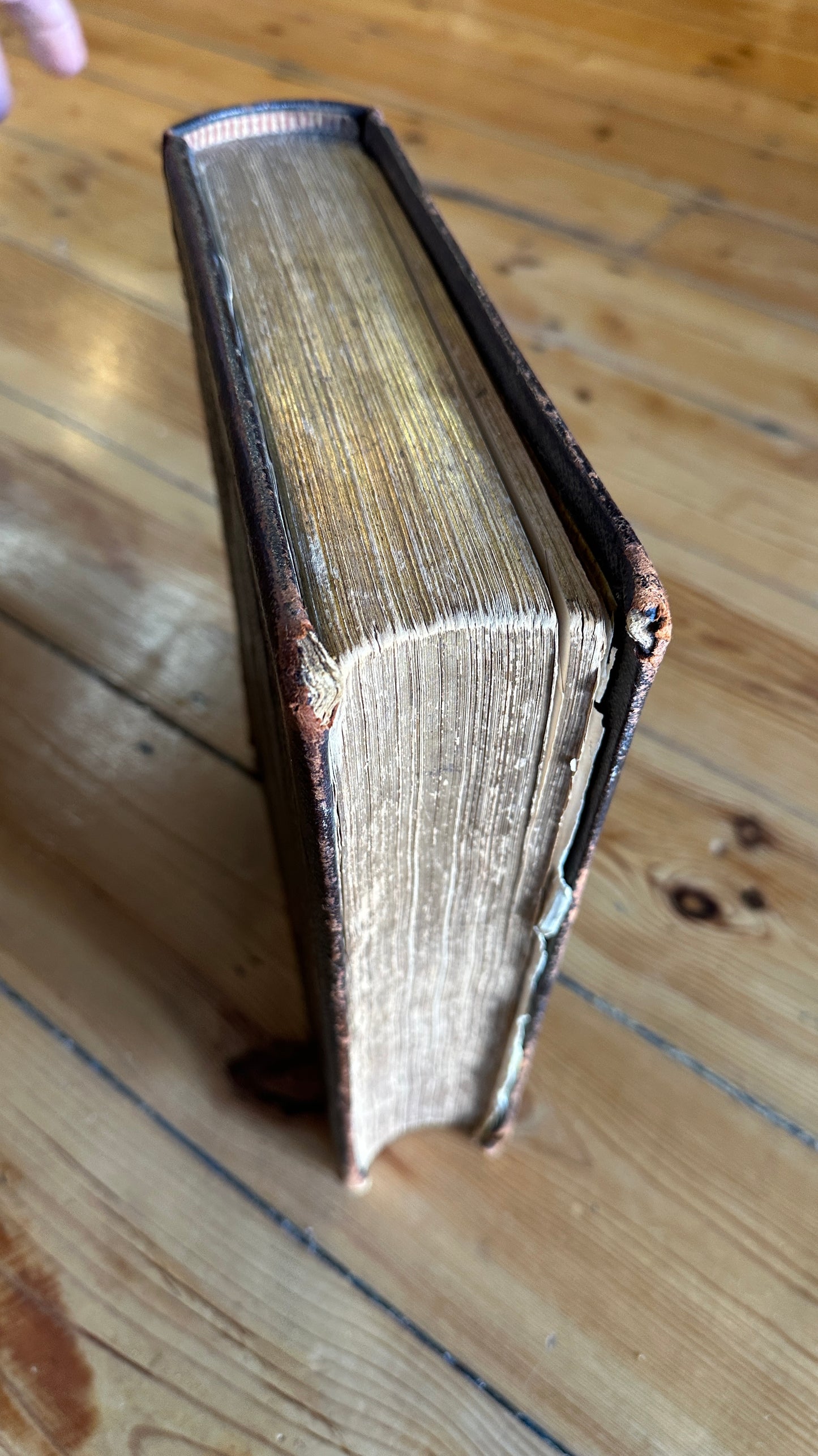 Antique leather-bound 1878 edition of The History of Australasia by David Blair, published by McGready, Thomson & Niven