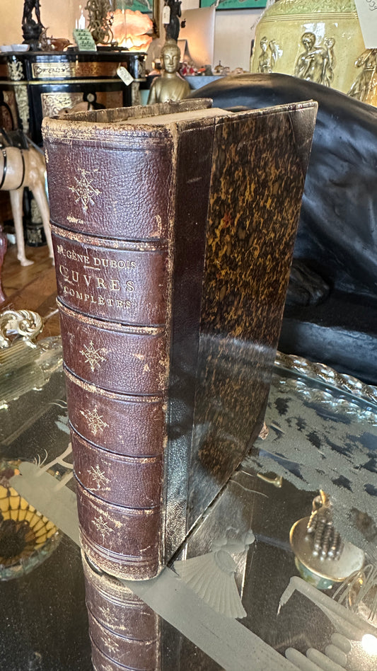 Antique (1873) French Poetry of Eugène Dubois' - Oeuvres Complètes, published by Lebègue