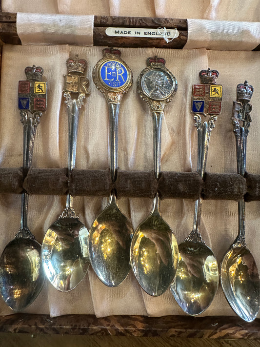 Vintage Set of 6 Silver EPNS Collector Teaspoons in Case