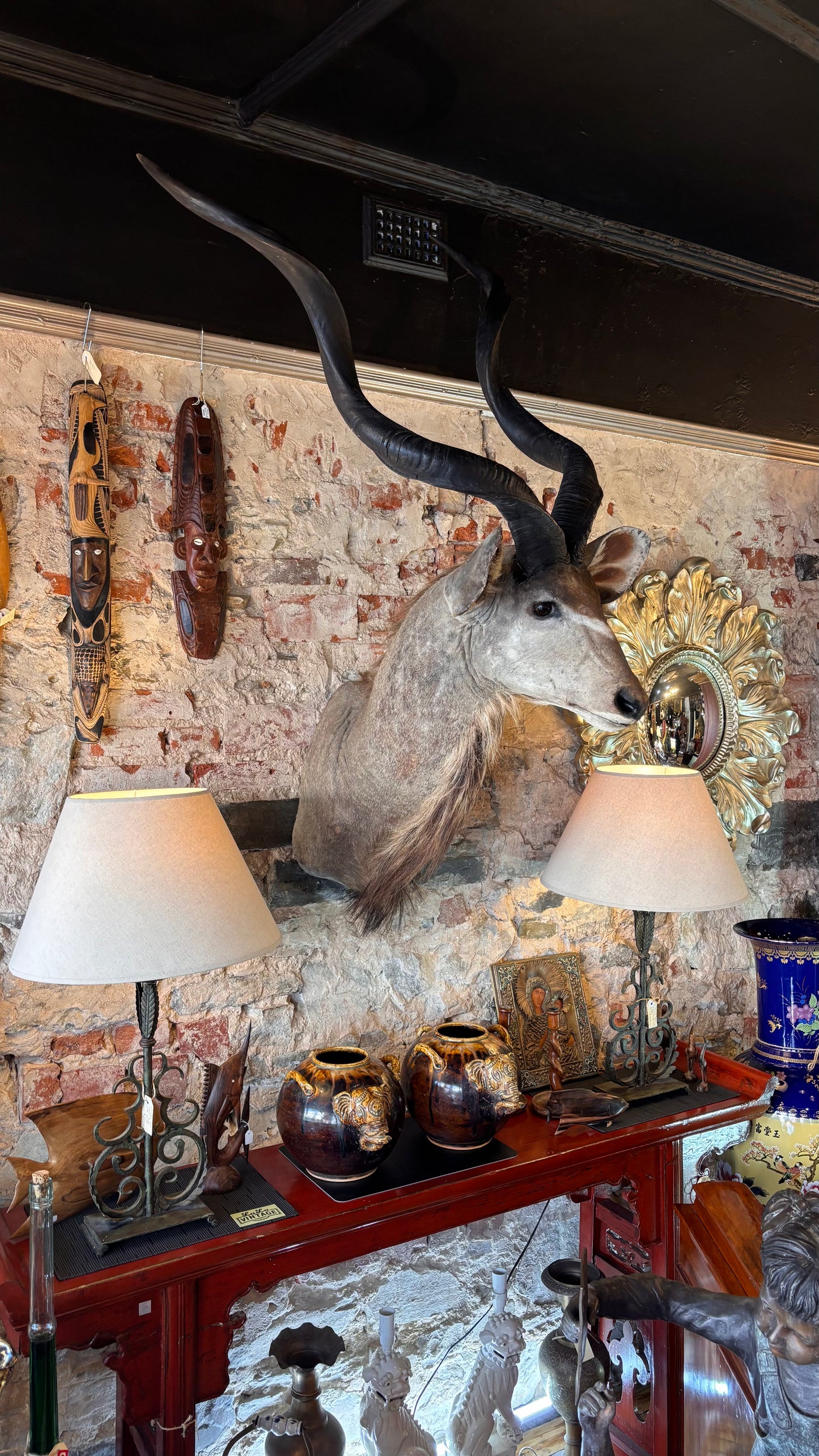 Taxidermy Kudu Shoulder Mount – 160cm Tall