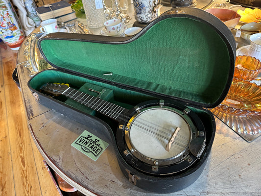 Vintage banjo mandolin (banjolin) in original hard case