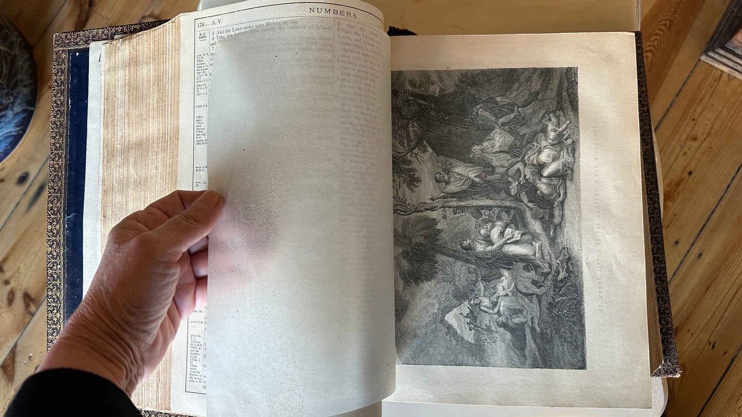 Pronouncing Parallel Bible, 1890s with over 2000 illustrations (some in colour) with indented leather binding