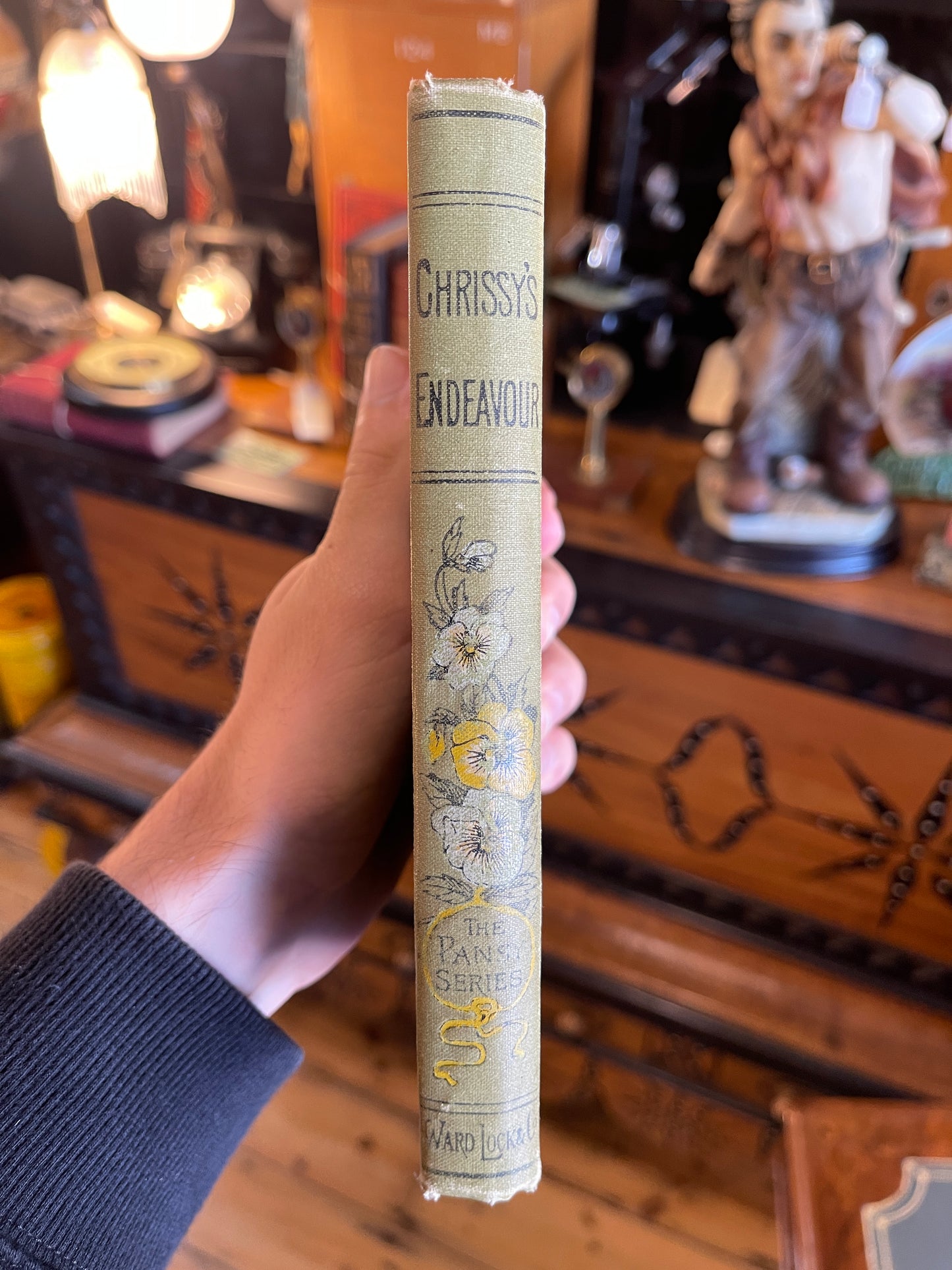 1894 Chrissy’s Endeavour Book - The Pansy Series, Illustrated Victorian Edition