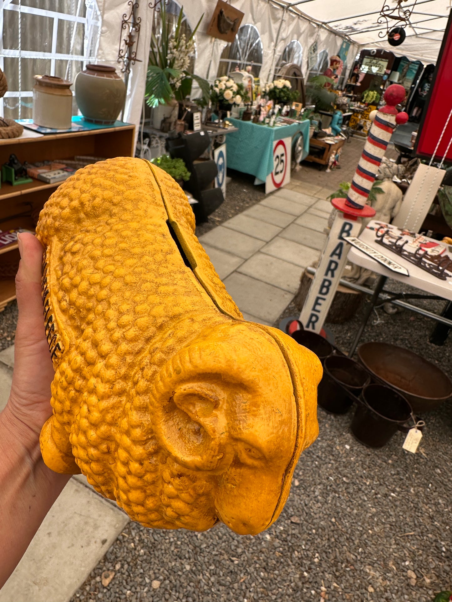 Large ‘Golden Fleece’ Cast Iron Coin Bank