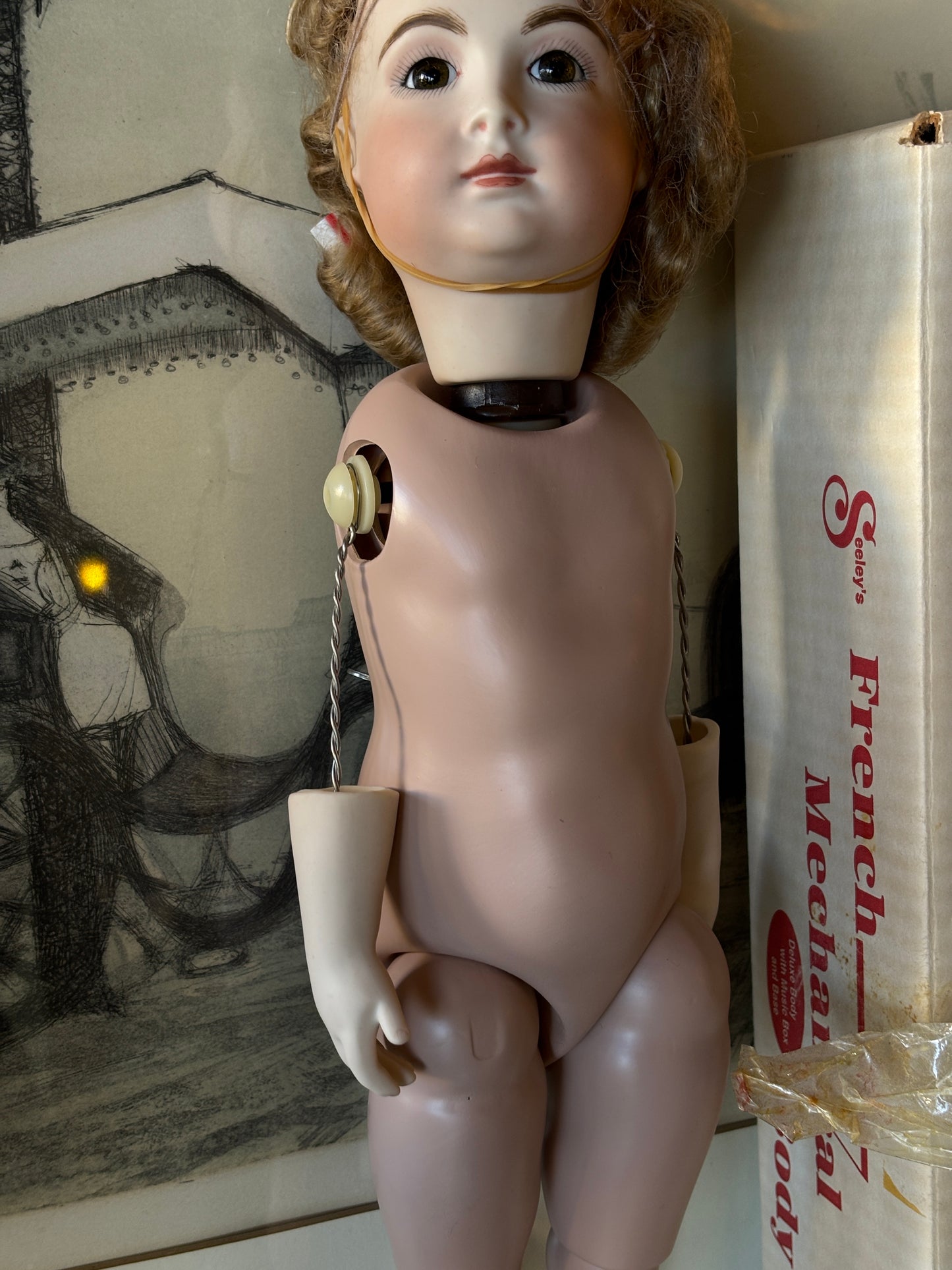 Vintage Seeley’s French Mechanical Doll Body with Porcelain Head & Original Box – Sleeping Beauty Waltz Music Box