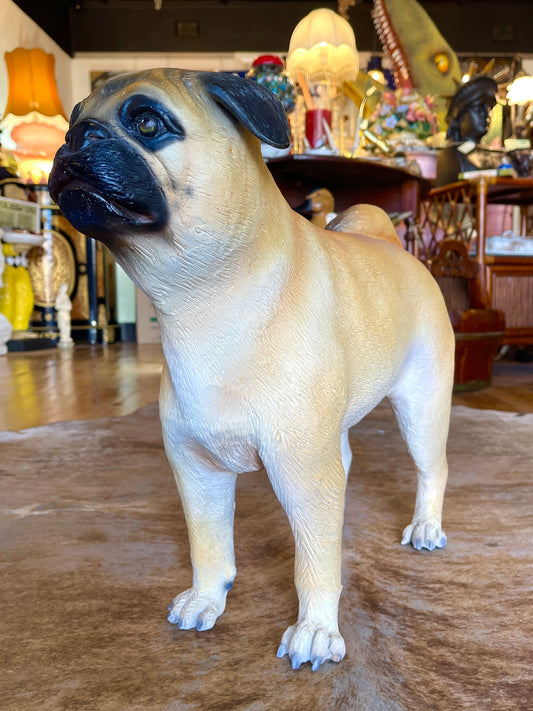 Life-size Fibreglass Pug Statue - Realistic Dog