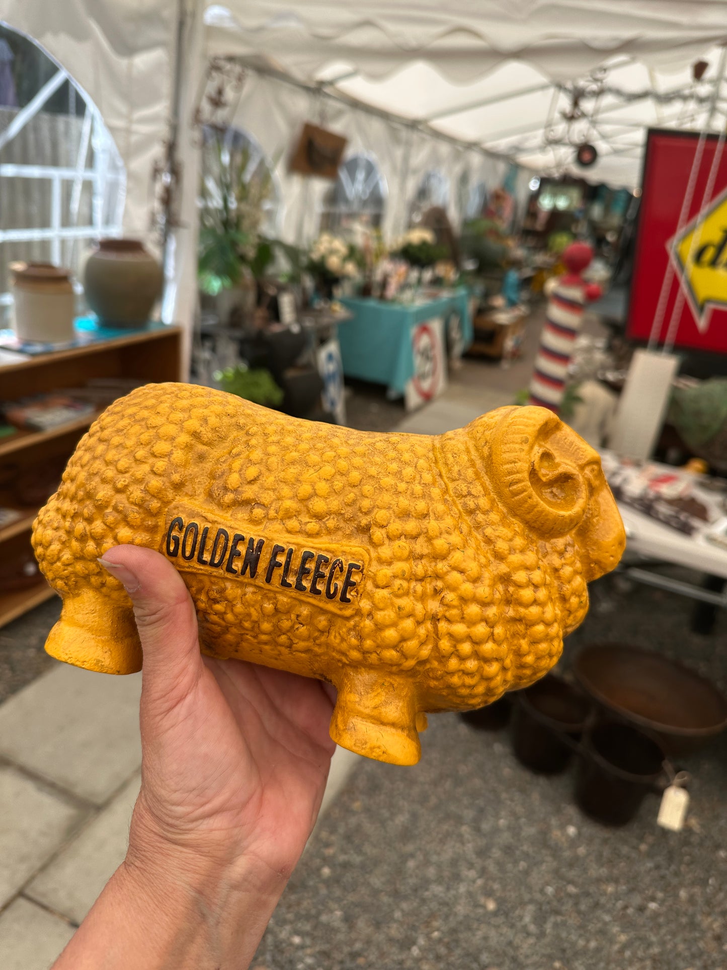 Large ‘Golden Fleece’ Cast Iron Coin Bank