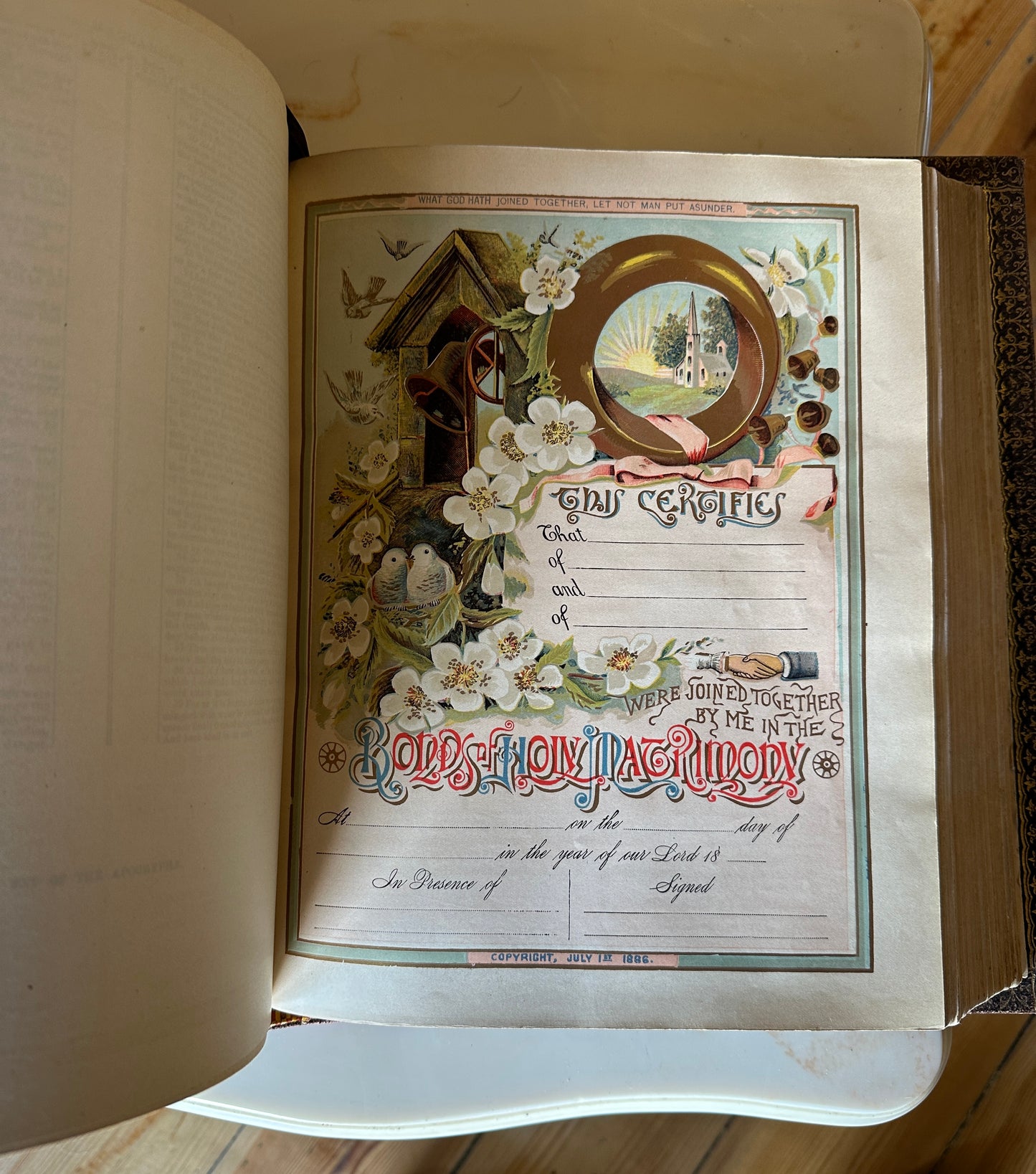 Pronouncing Parallel Bible, 1890s with over 2000 illustrations (some in colour) with indented leather binding