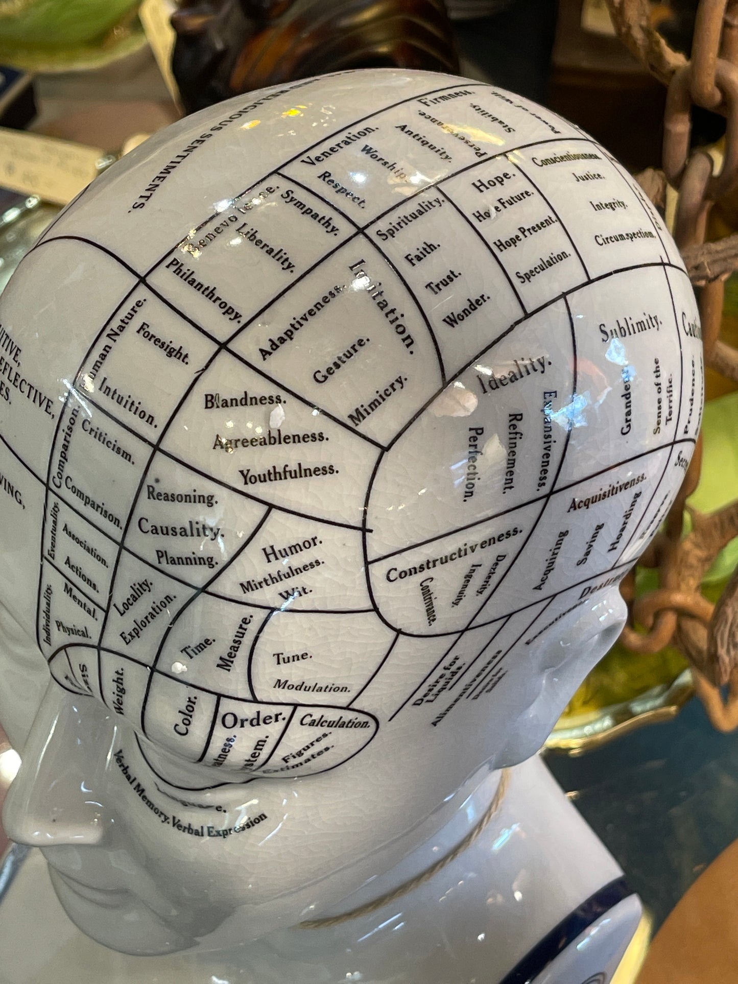 Phrenology By L.N. Fowler Large Ceramic Head