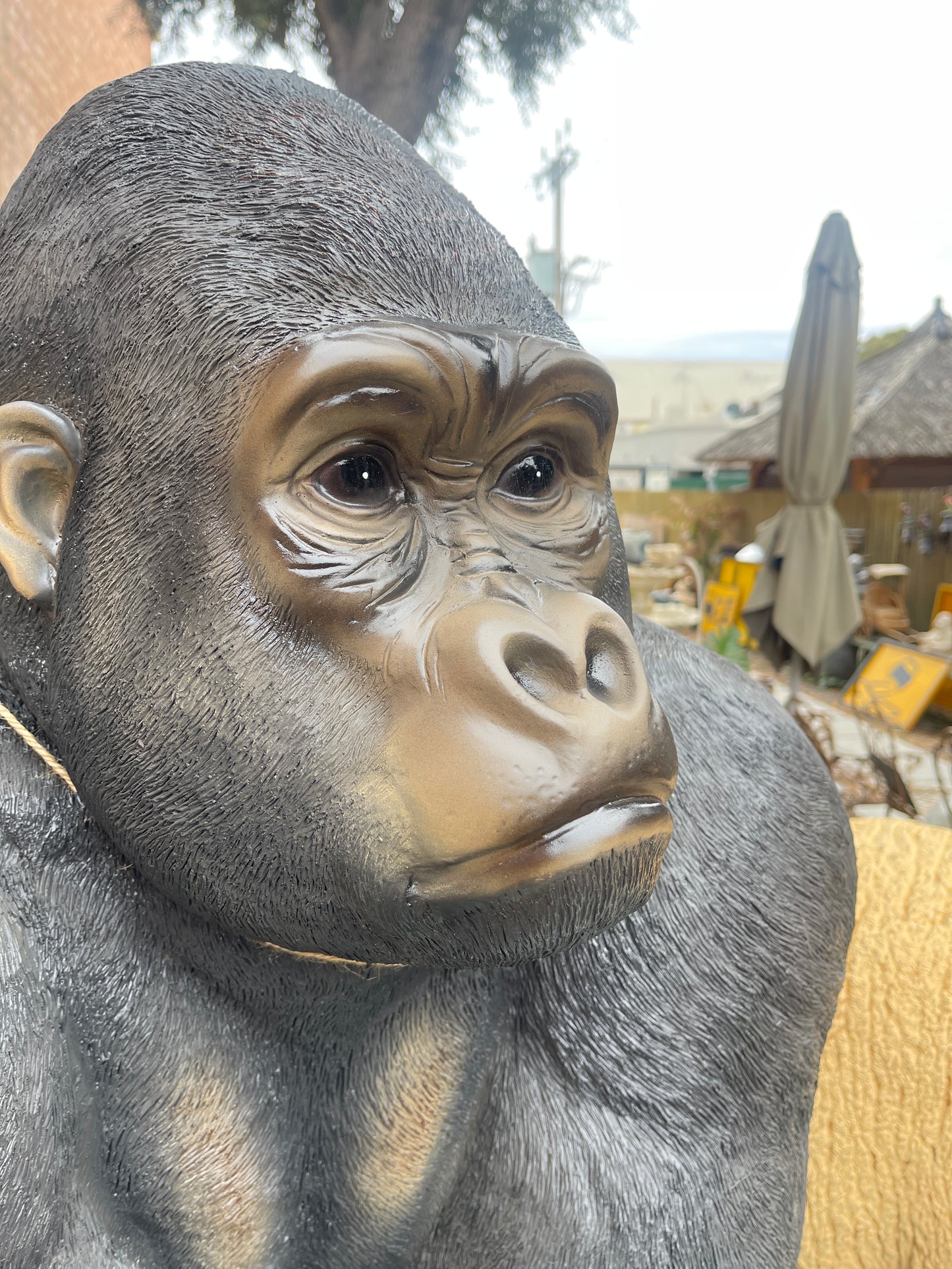 Life-size Fibreglass Gorilla Statue