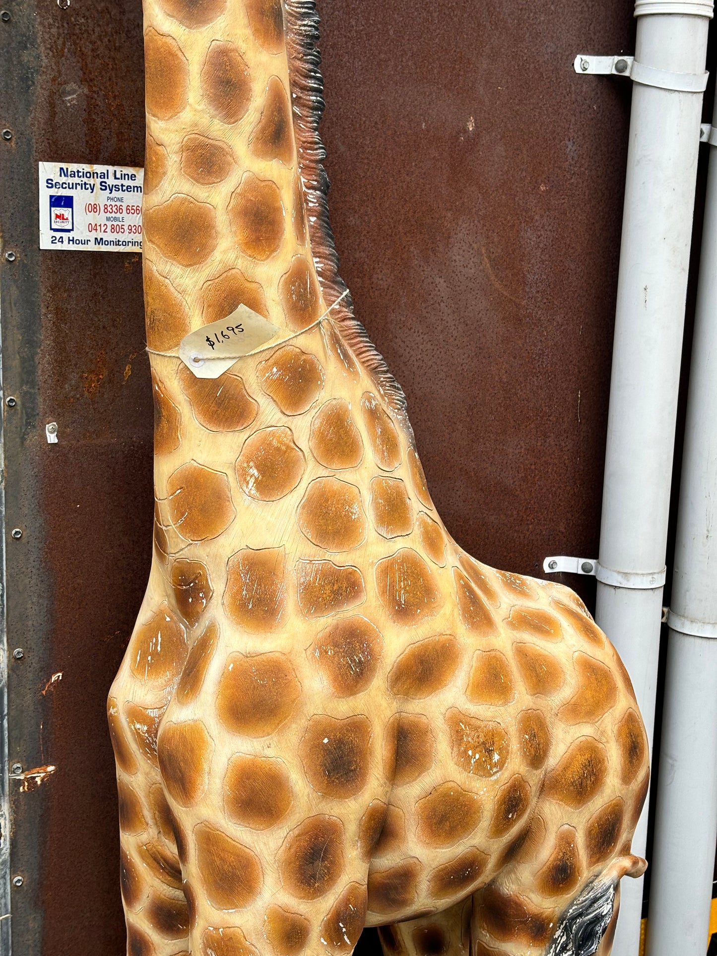 Life Size Baby Giraffe Statue Fibreglass Resin and Steel