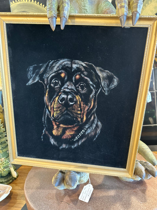 Vintage Rottweiler Hand Painted on Black Velvet