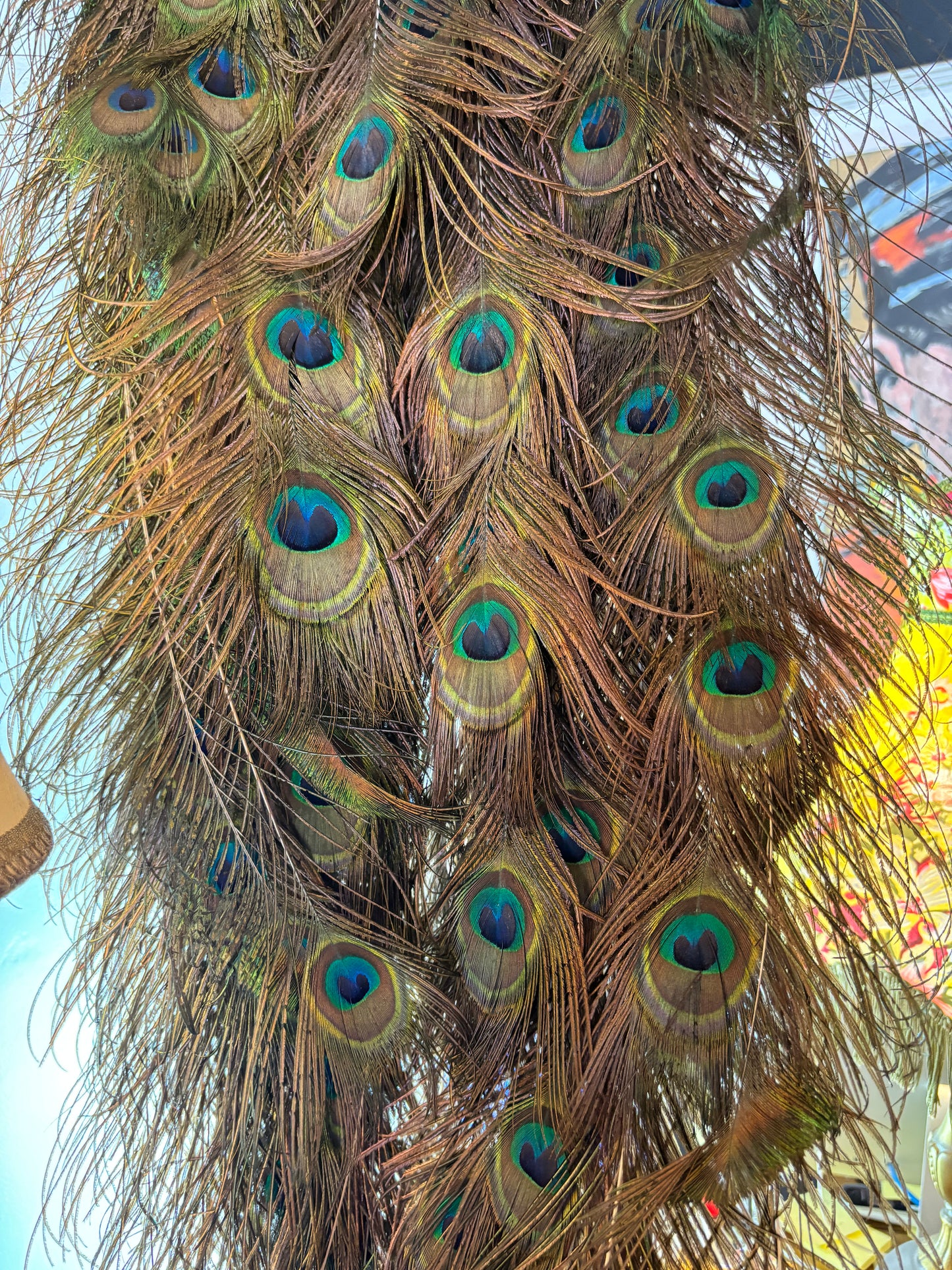 Enchanting Taxidermy Peacock On Branch