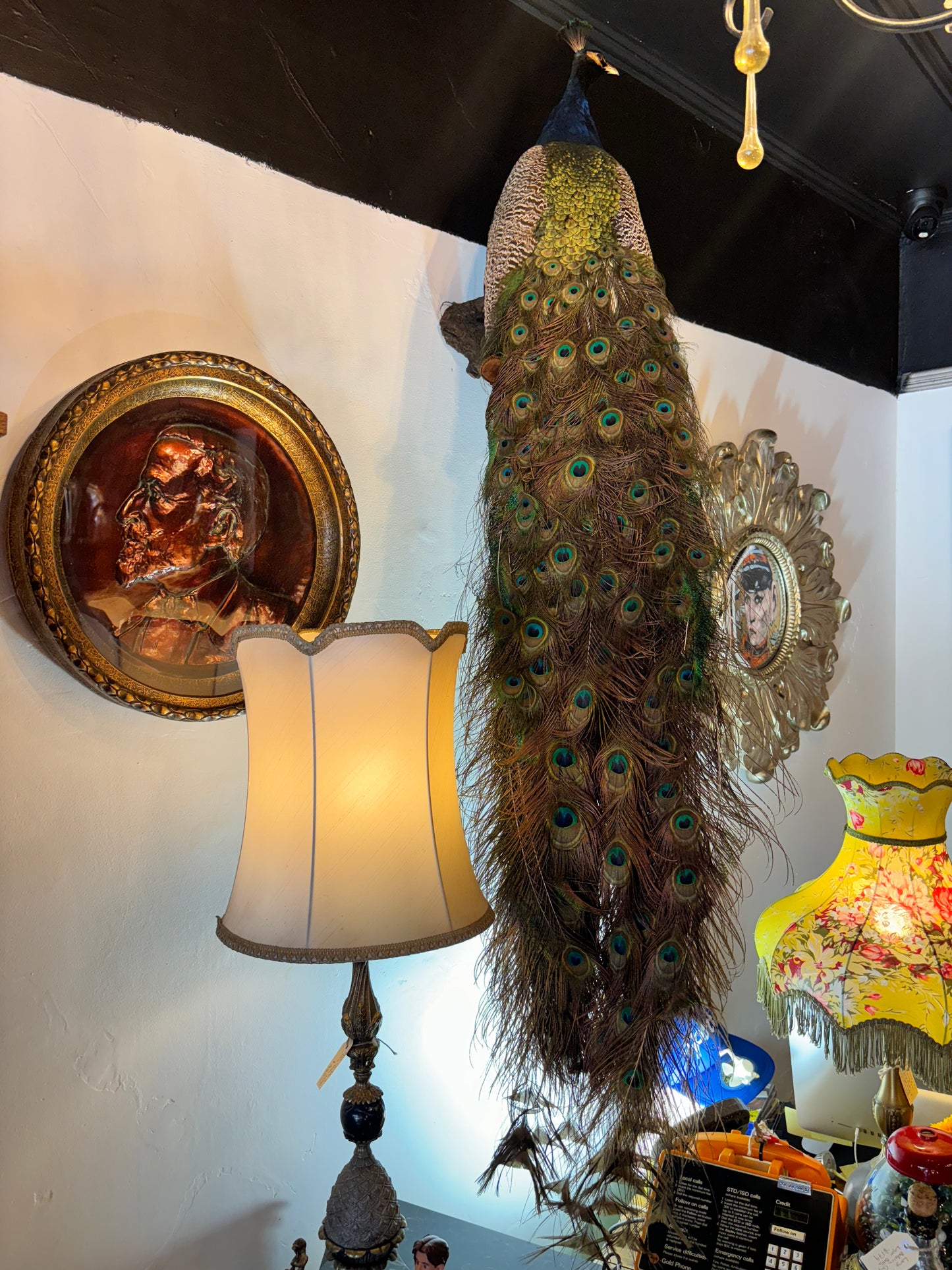 Enchanting Taxidermy Peacock On Branch