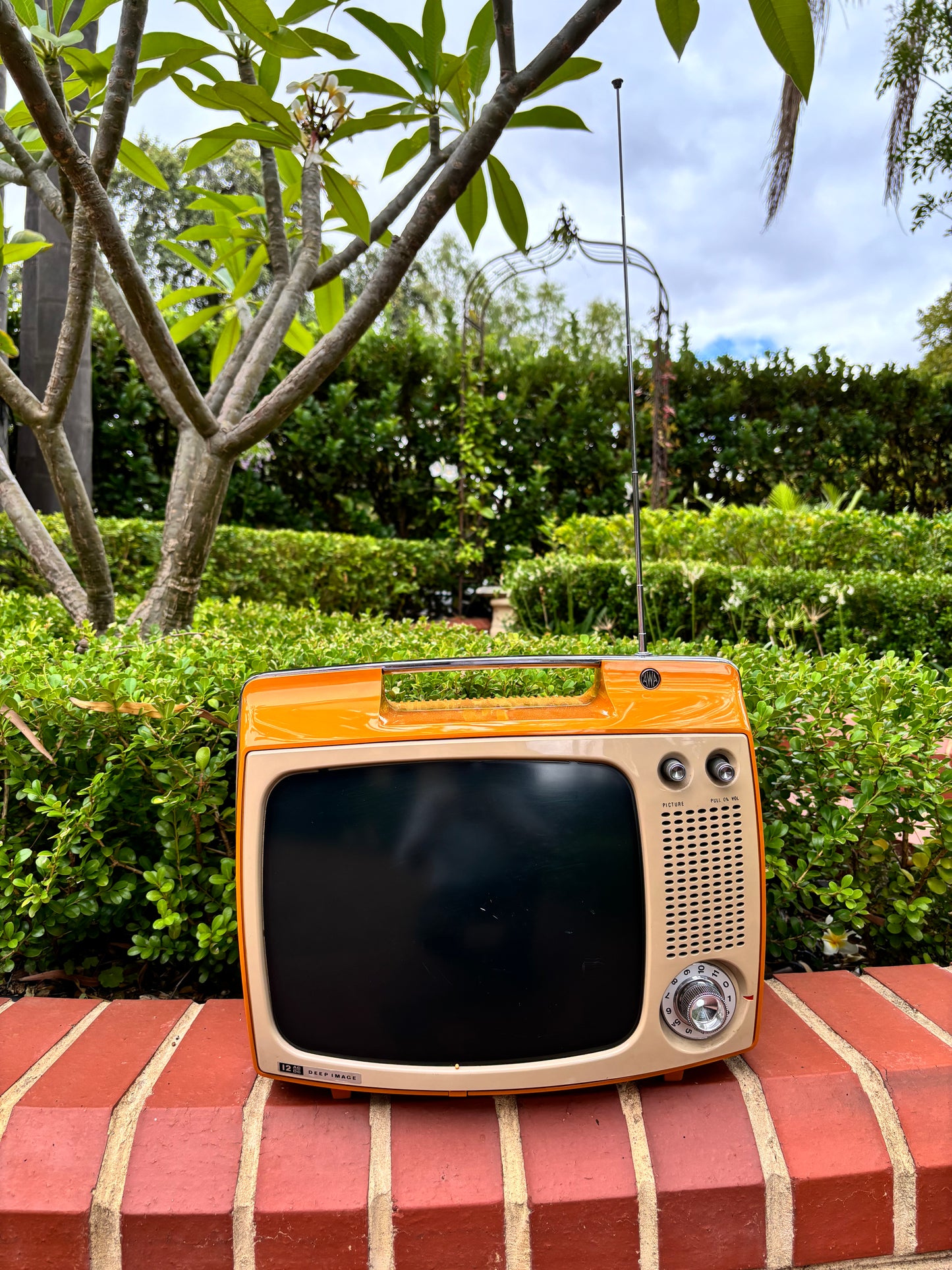 Vintage Chrome And Egg Yolk Orange AWA Television