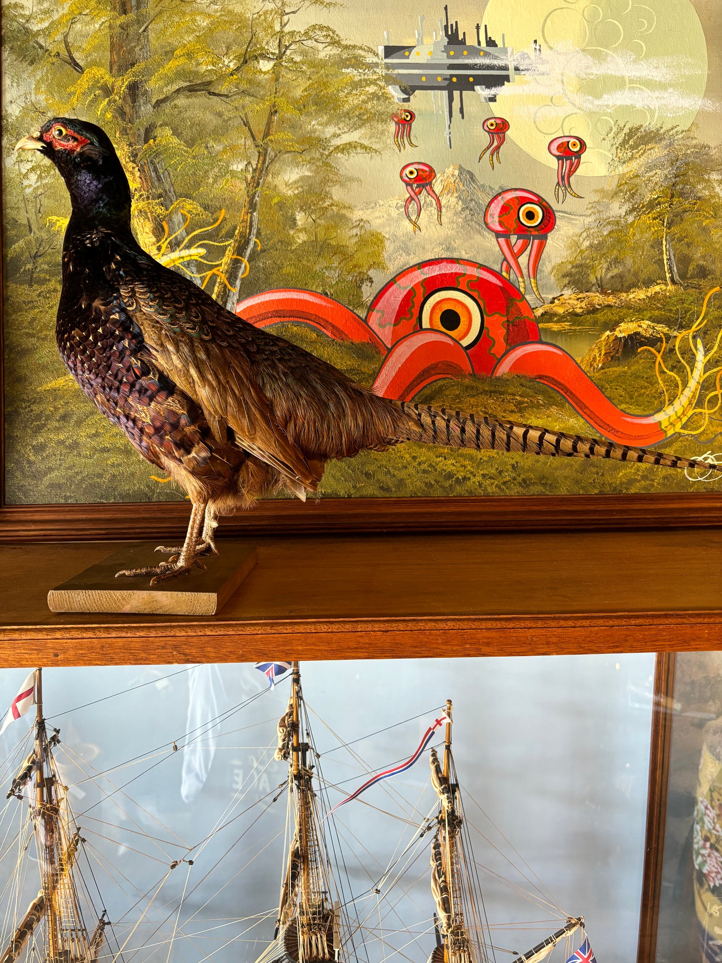 Taxidermy Pheasant