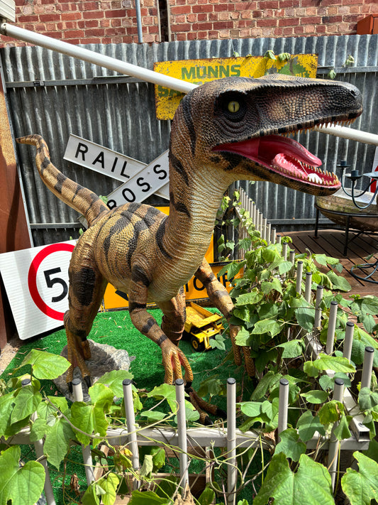 Life Sized Raptor Dinosaur Statue Fibreglass