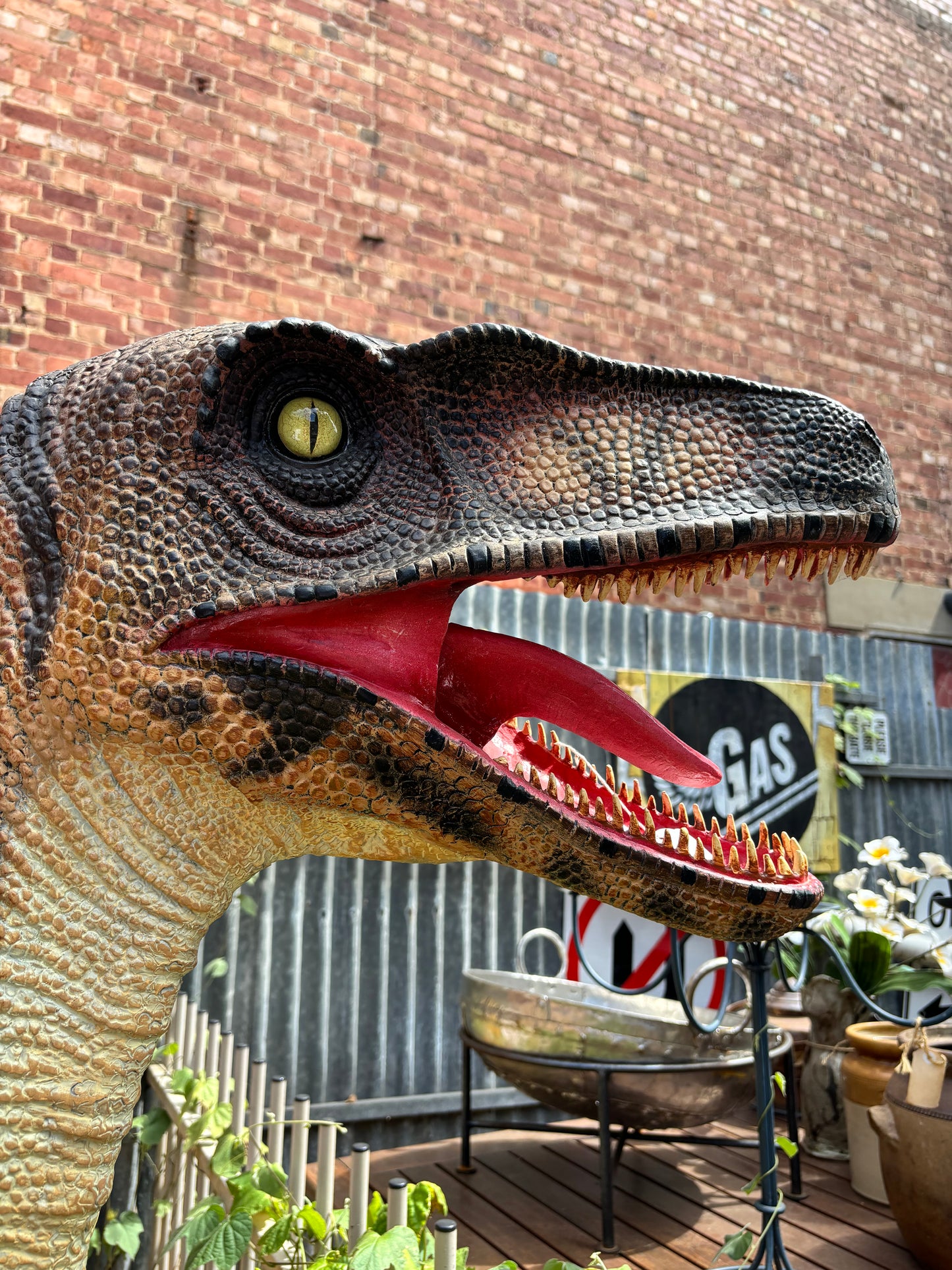 Life Sized Raptor Dinosaur Statue Fibreglass