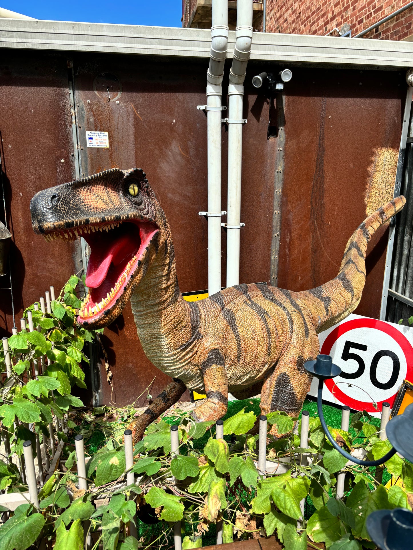 Life Sized Raptor Dinosaur Statue Fibreglass