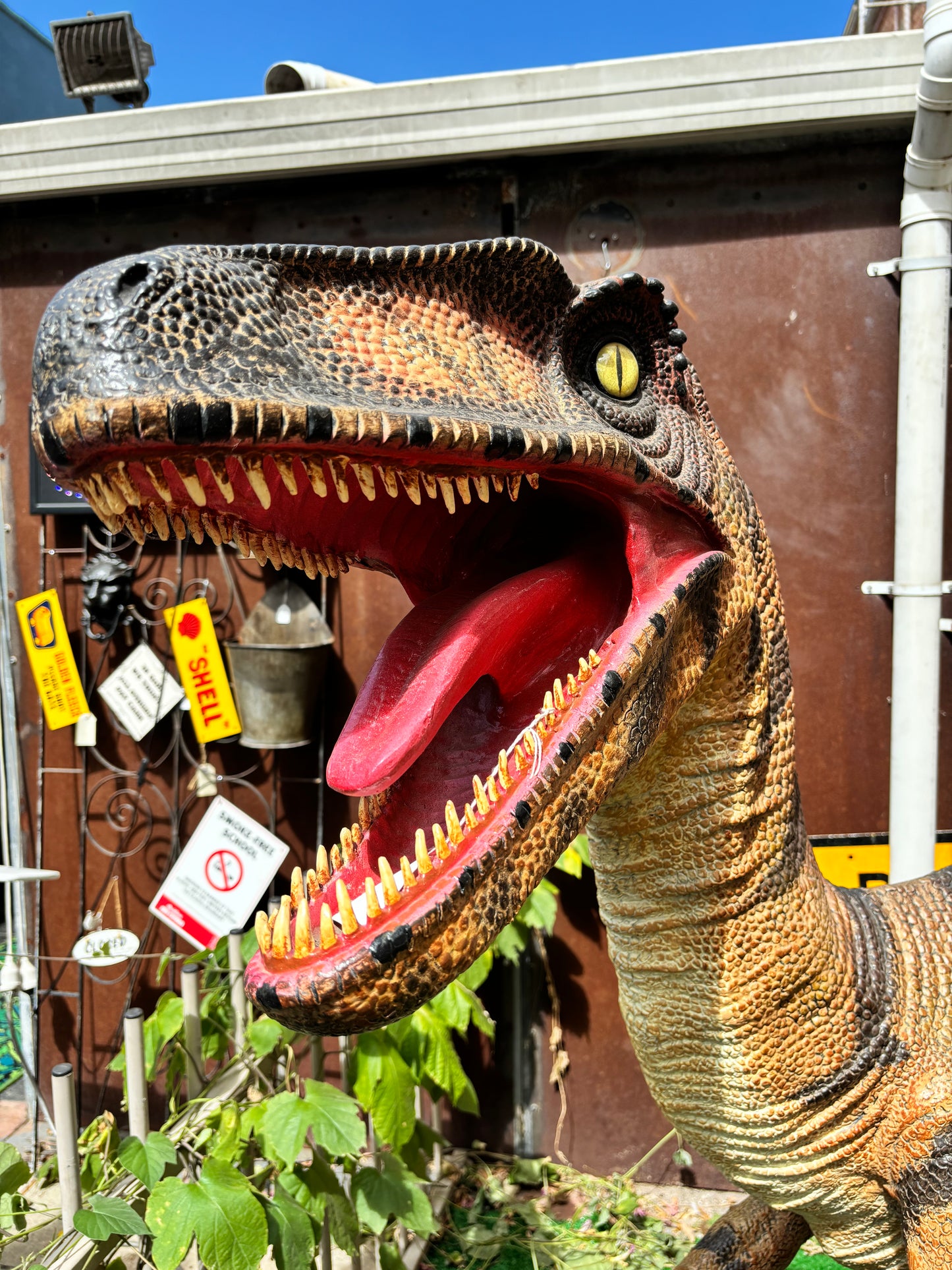 Life Sized Raptor Dinosaur Statue Fibreglass