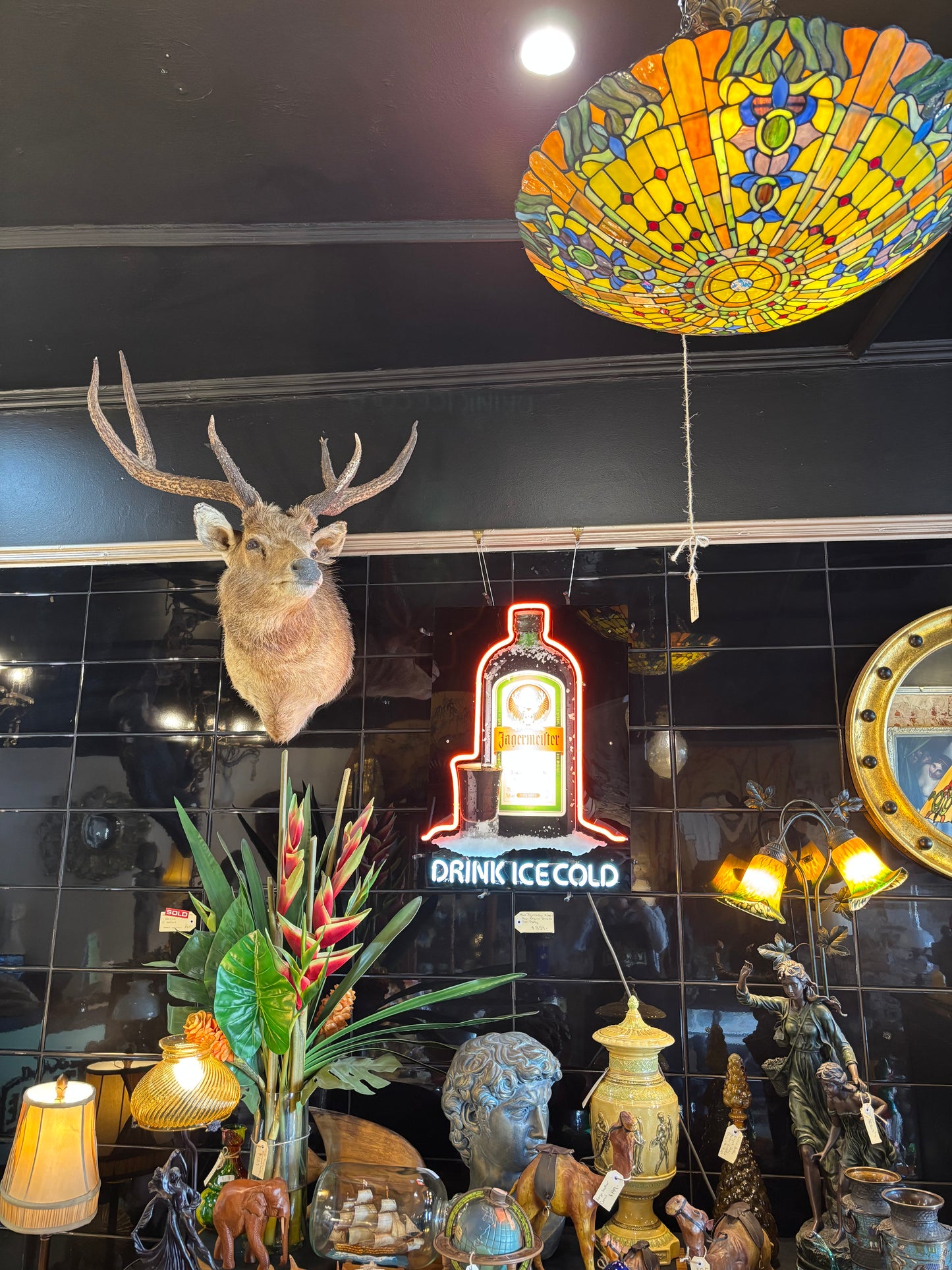 Sambar Deer Shoulder Mount – Soulful, Striking & Rare