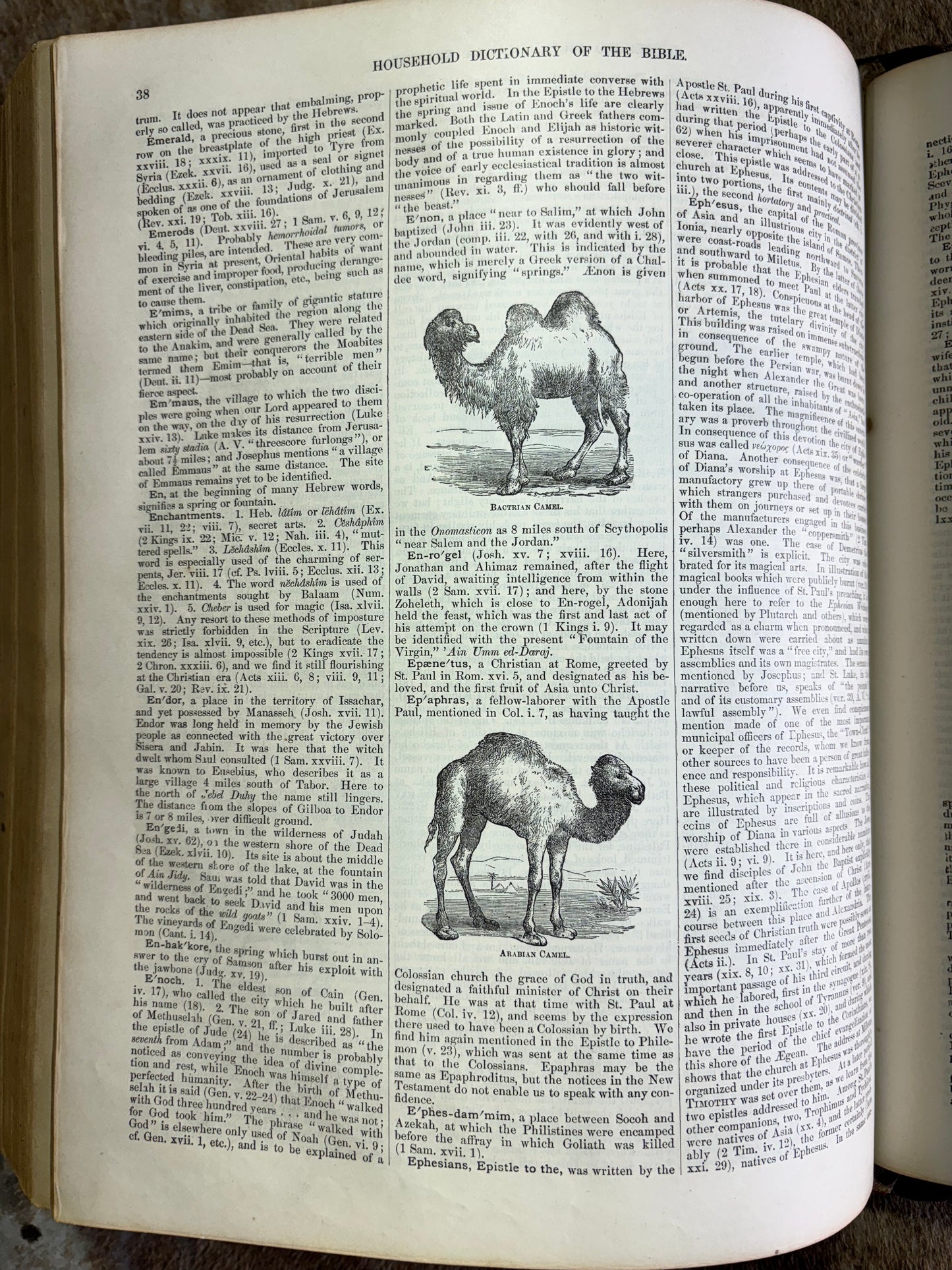 Antique Victorian Bible c1870