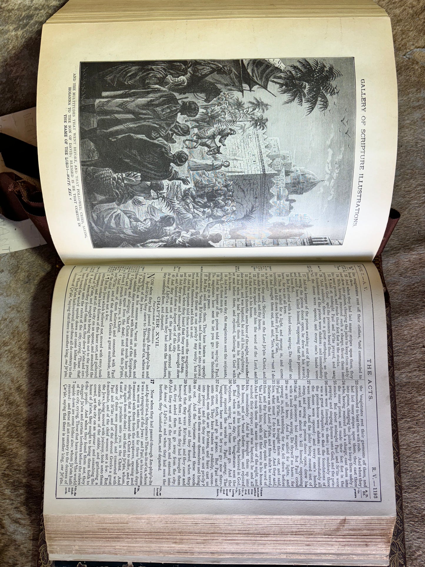 Victorian Antique Family Bible – Pronouncing Parallel Edition with Over 2000 Stunning Illustrations, Circa 1890s