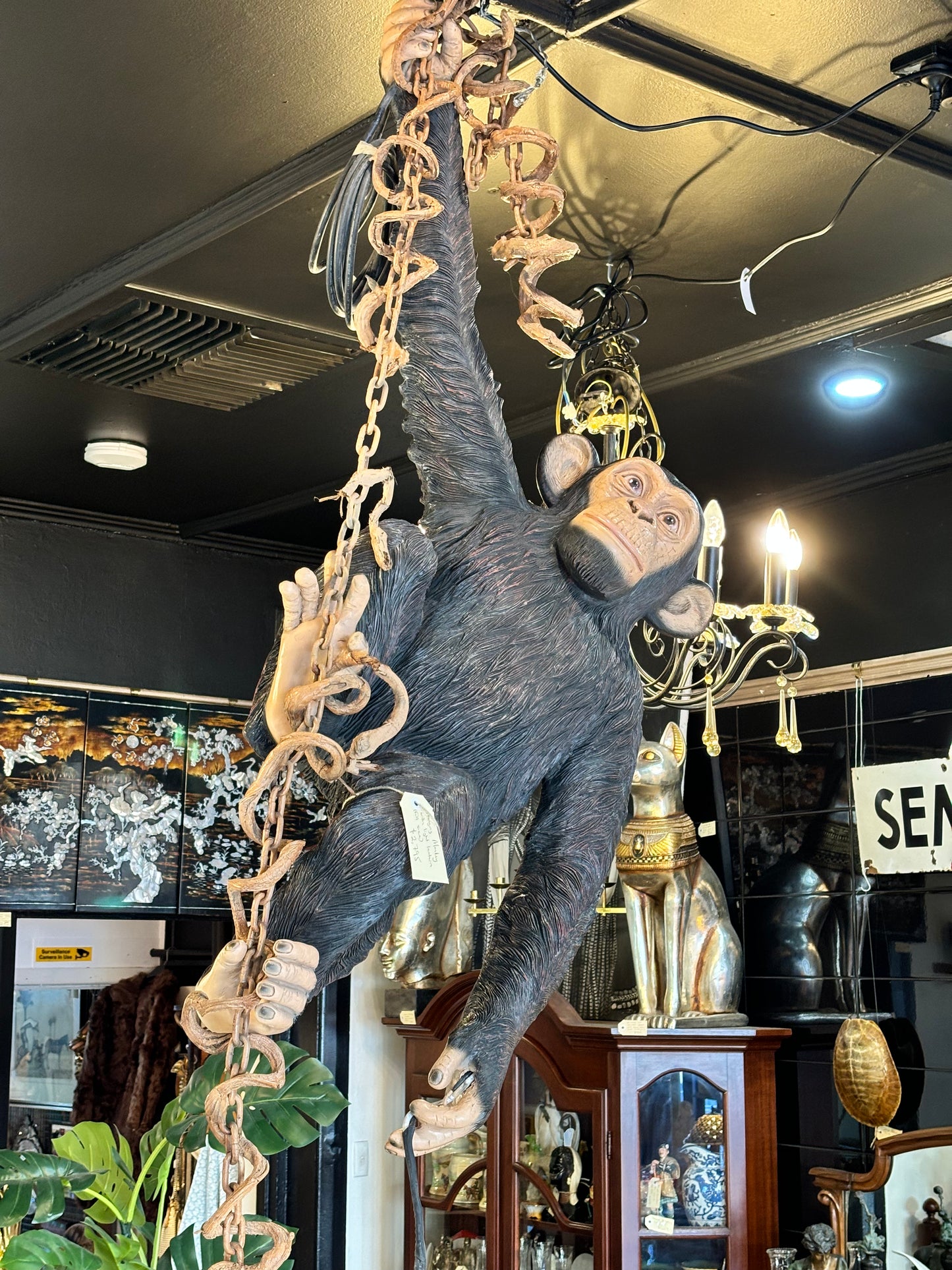 Life Size Chimpanzee Hanging Ceiling Light