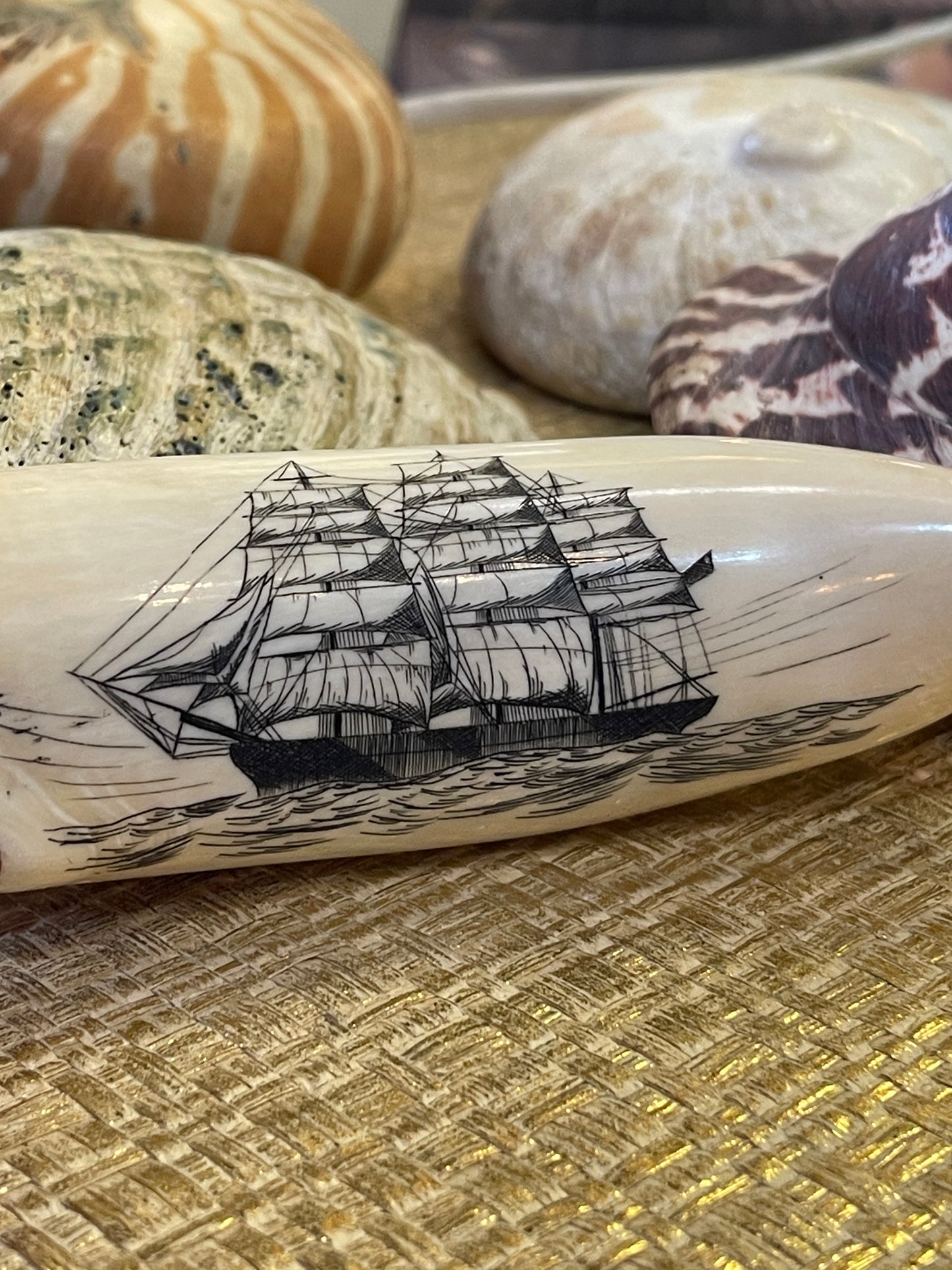 Whale Tooth with Extremely Intricate Scrimshaw Carving