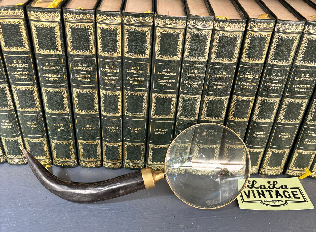 Vintage Horn-Handled Magnifying Glass with Brass Collar