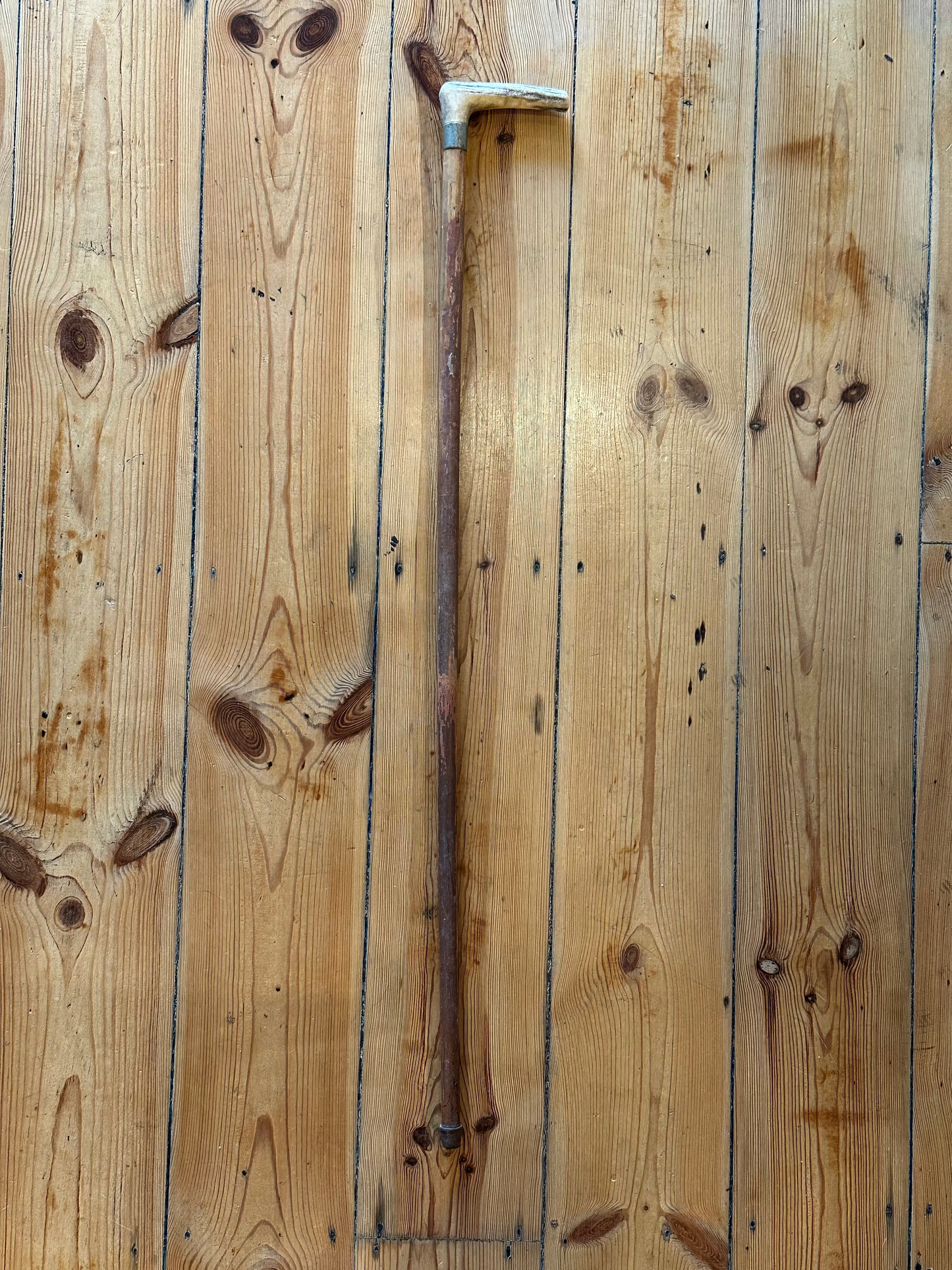 Antique L-Shape Stag Antler Walking Stick – Vintage Hardwood Cane with Silver Collar