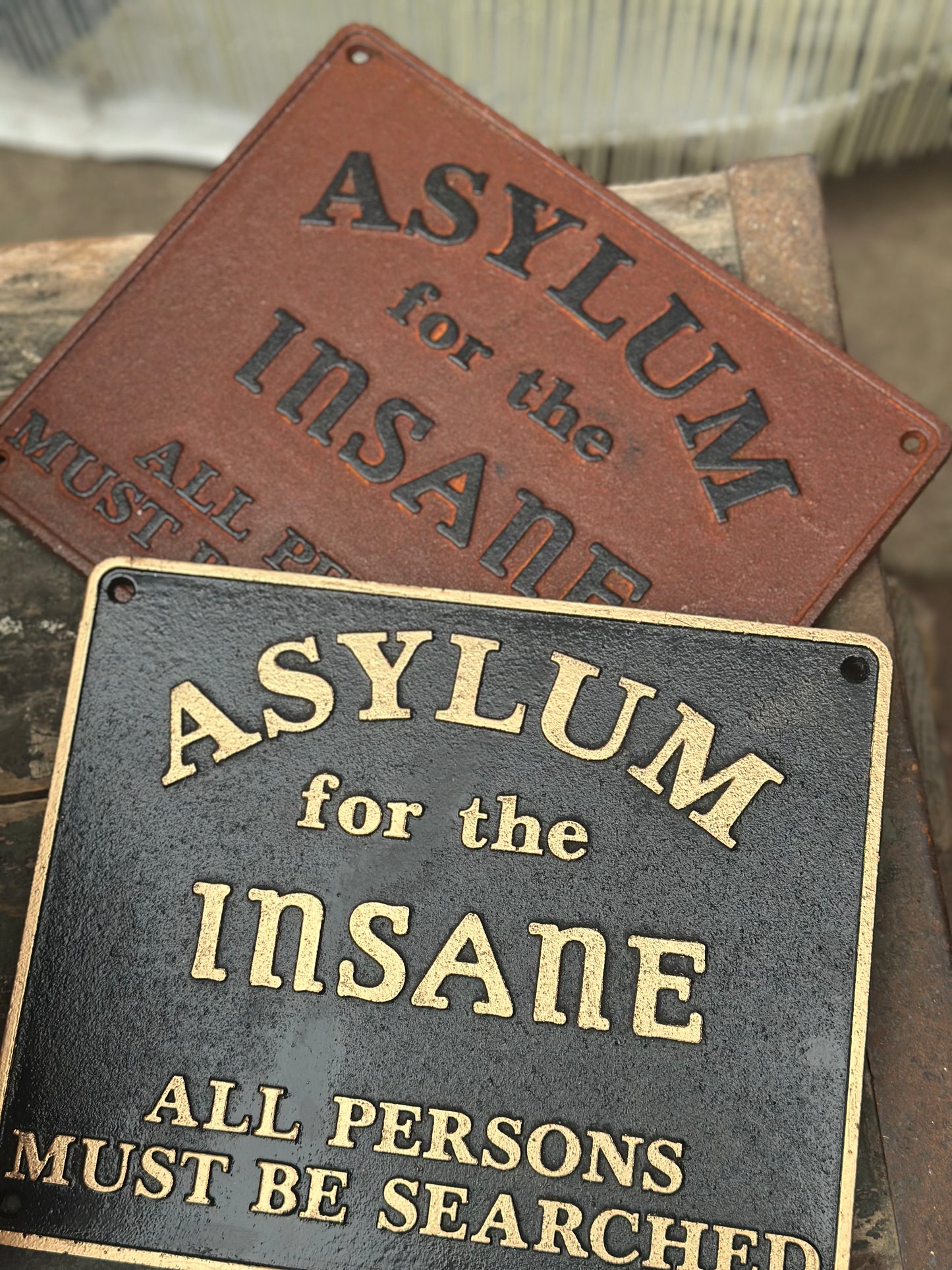 Cast Iron Asylum for the Insane Sign | Vintage Style Institutional Plaque