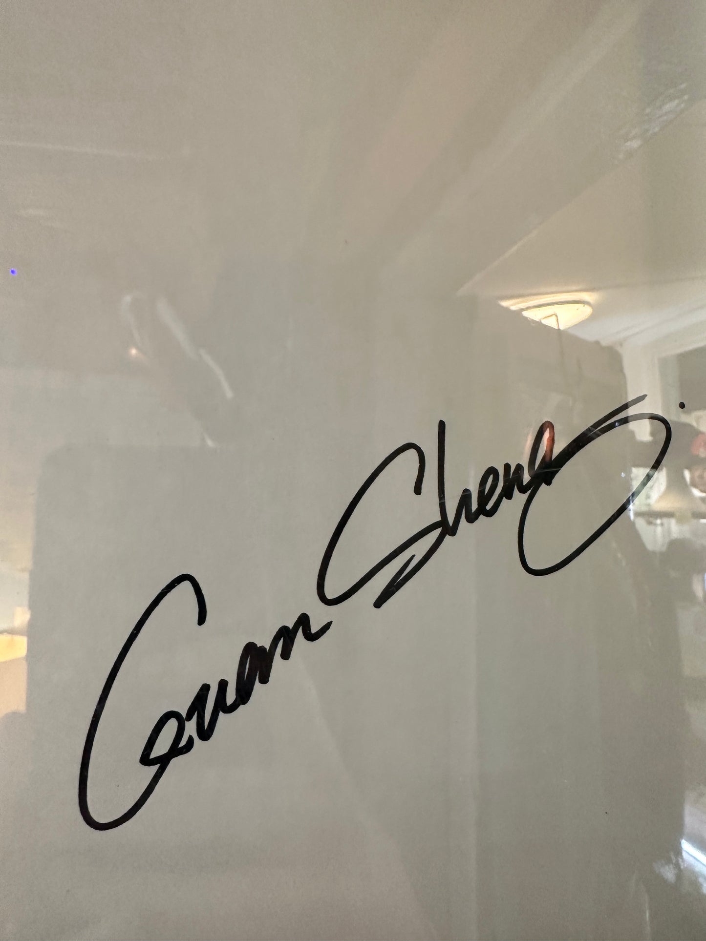 Guan Sheng Large Framed Dog Collage Art – Mixed Media Pointer Greyhound Silhouette – Vintage Ephemera Wall Art