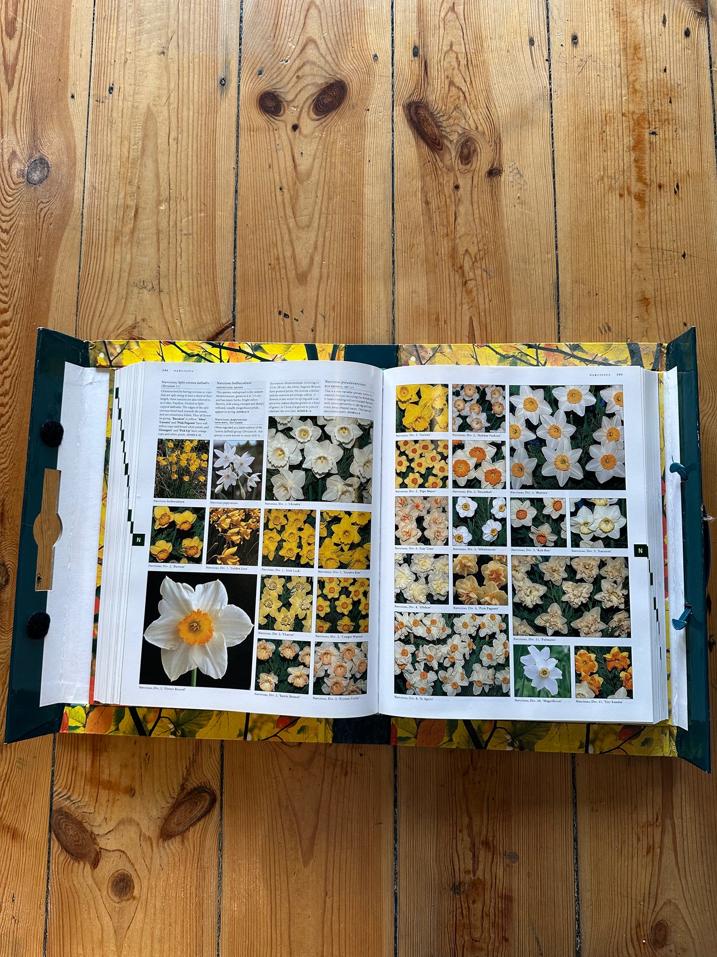 Vintage Botanica Deluxe Edition 1999 | Illustrated A-Z Garden Plants Book & Carry Case