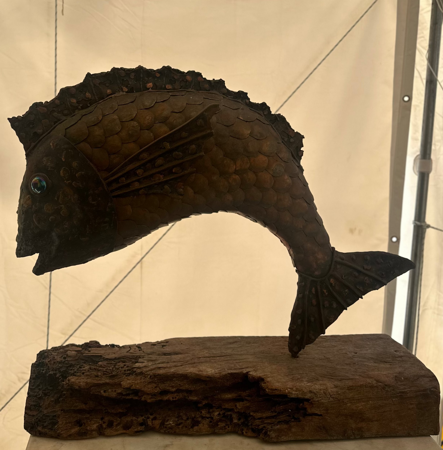 Steve Green "RAW" Large Metal & Reclaimed Wood Fish Sculpture - South Australian Artist