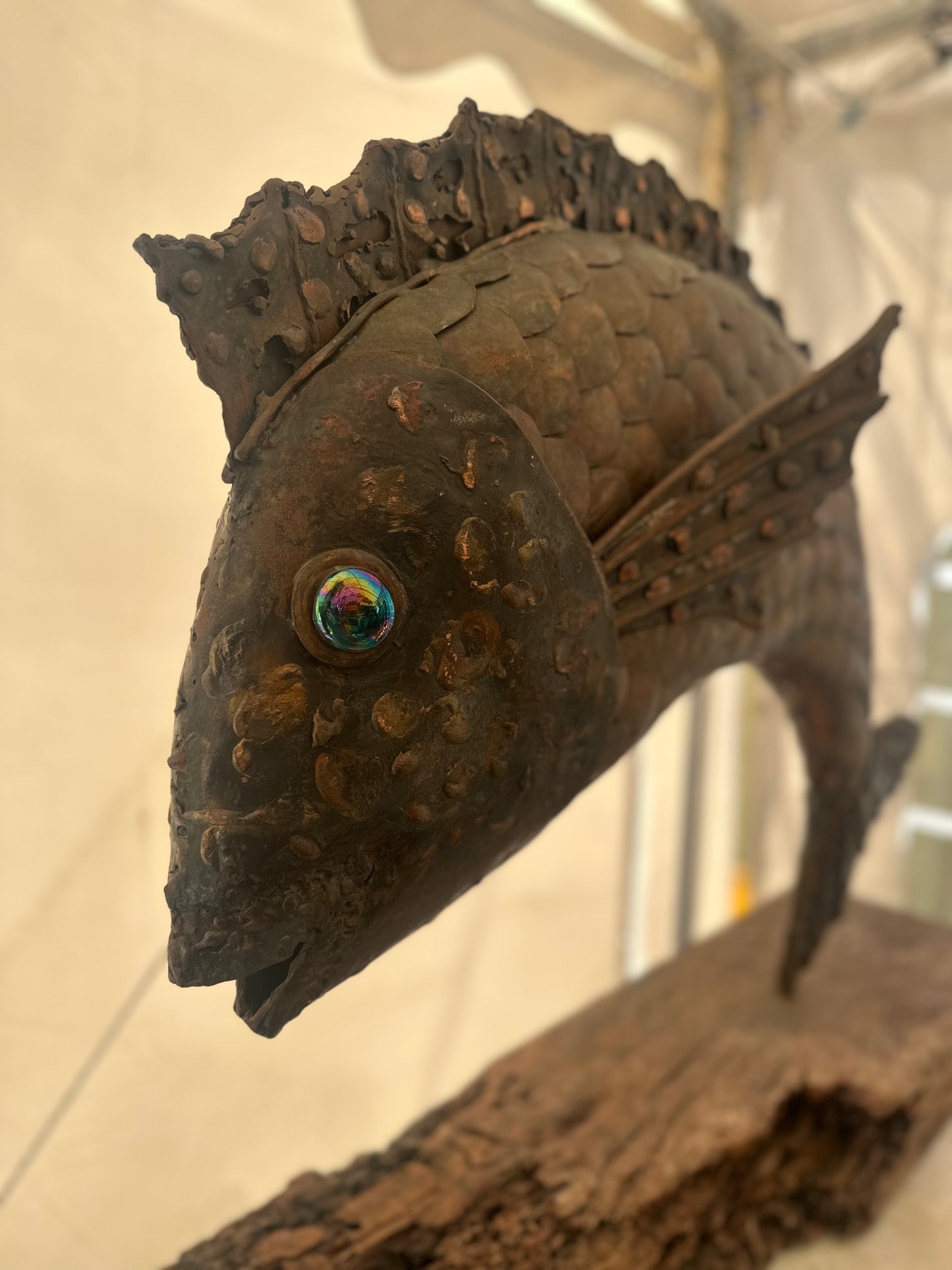 Steve Green "RAW" Large Metal & Reclaimed Wood Fish Sculpture - South Australian Artist