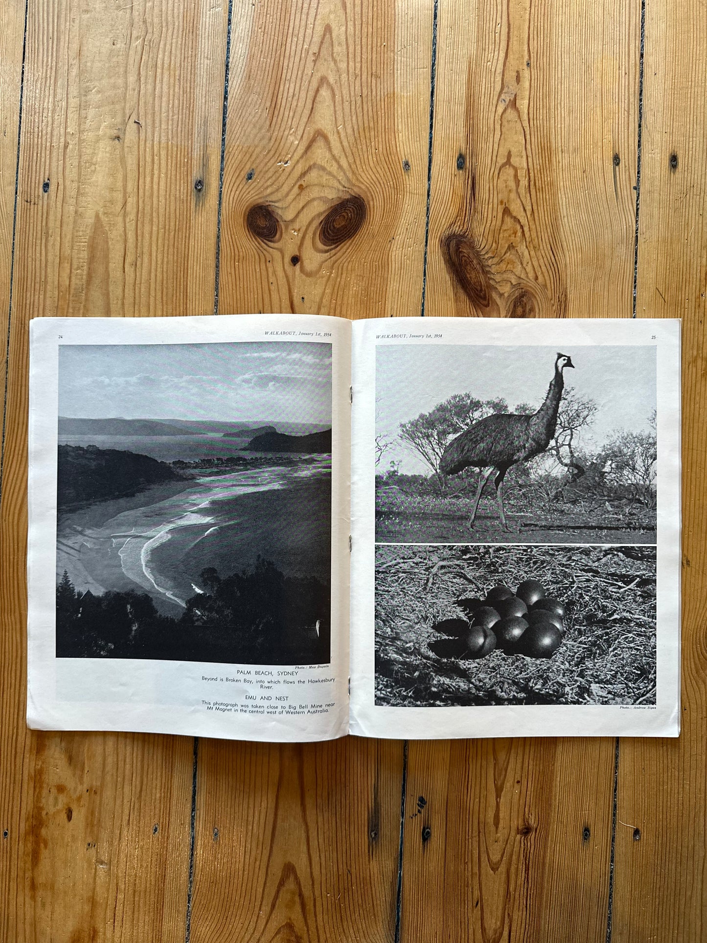 Vintage Walkabout Australian Geographical Magazines - 1950s & 1960s Collectibles | Various Issues