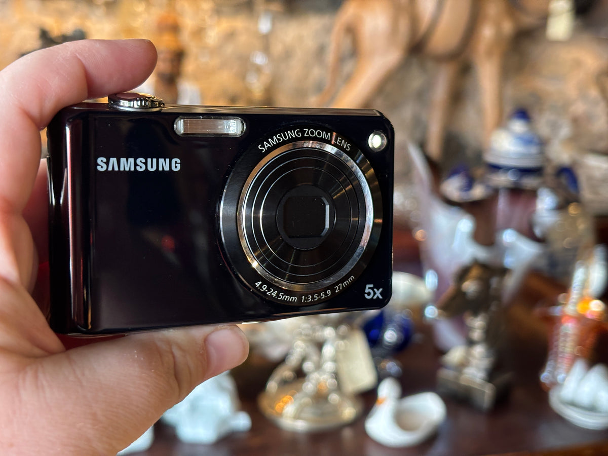 Samsung PL150 Dual-Screen Digicam with Hama Case
