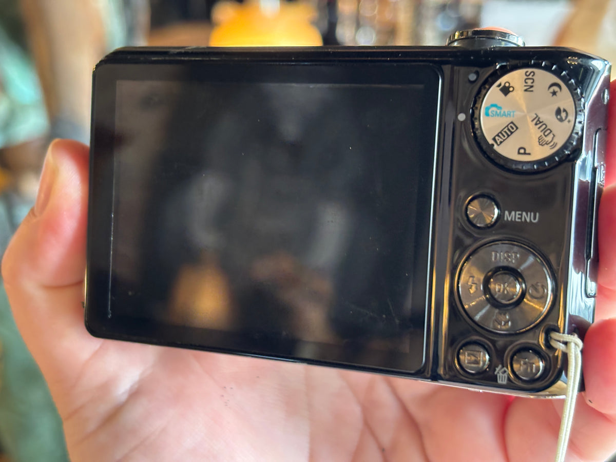 Samsung PL150 Dual-Screen Digicam with Hama Case